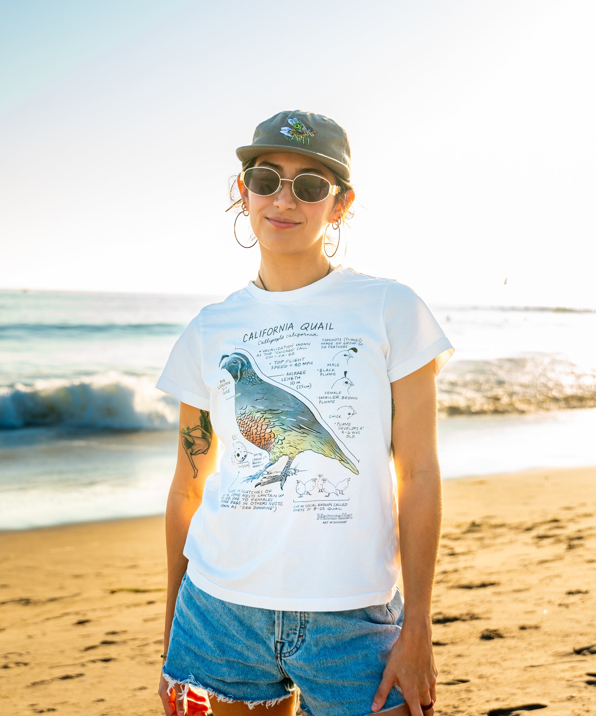 Person wearing a white t-shirt with a quail graphic on a beach