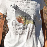 Person wearing a white t-shirt with a California quail graphic and text.