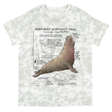 T-shirt with a graphic of a northern elephant seal and text on a white background