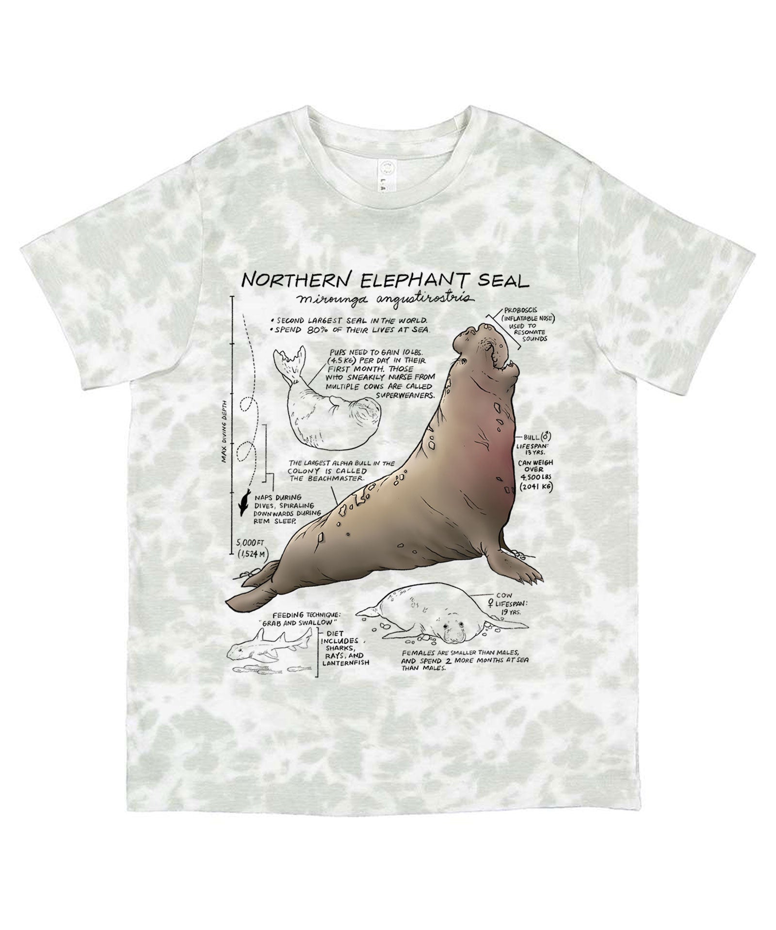 T-shirt with a graphic of a northern elephant seal and text on a white background
