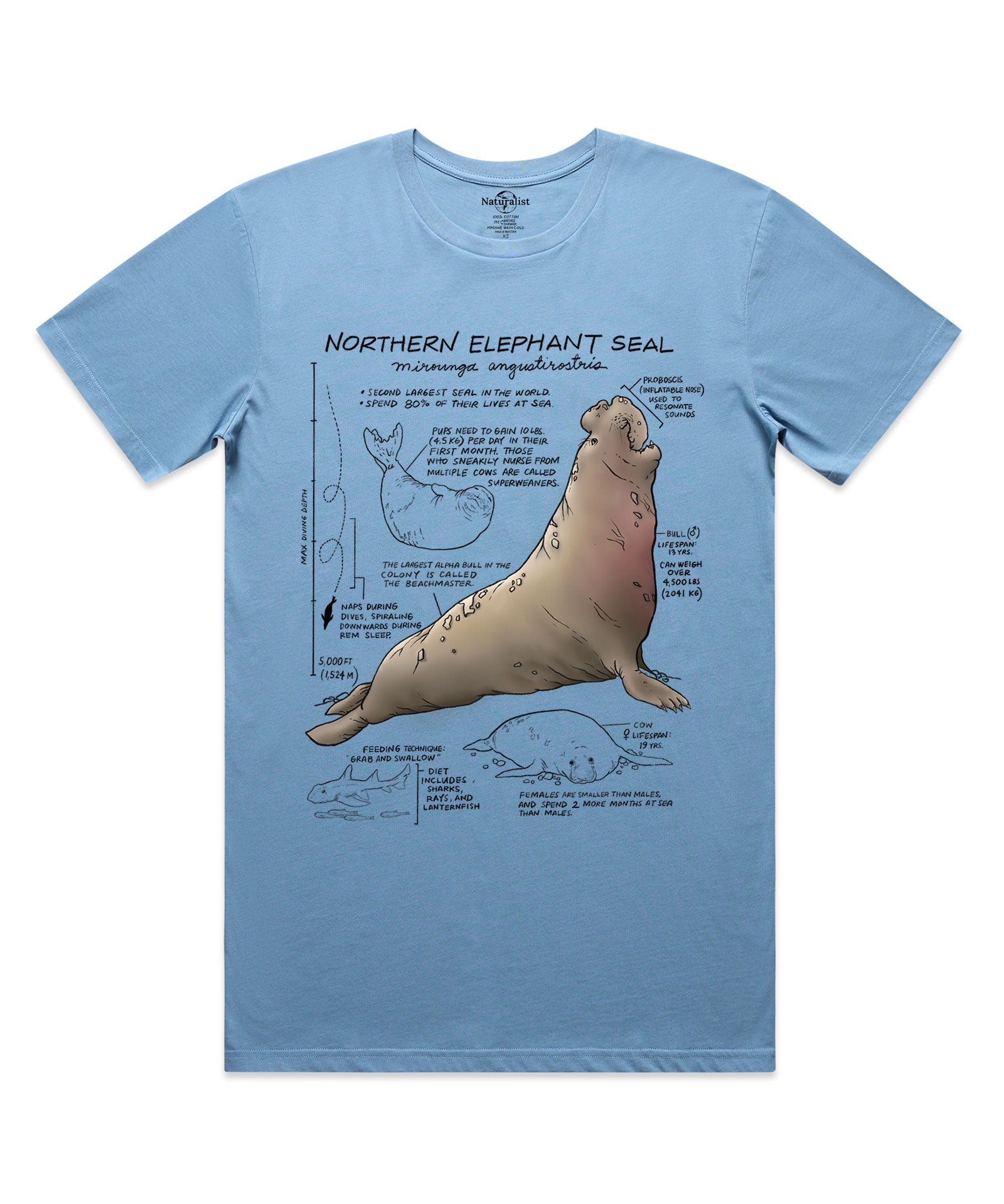 Light blue t-shirt with a Northern Elephant Seal graphic and text on a white background