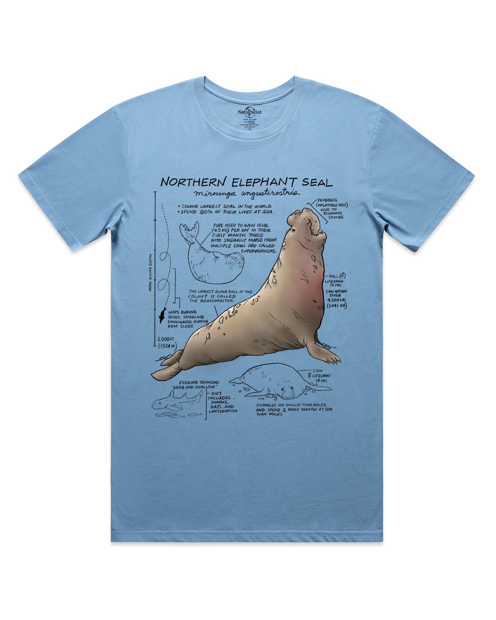 Light blue t-shirt with a Northern Elephant Seal graphic and text on a white background