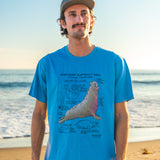 Man wearing a blue t-shirt with an elephant seal illustration on a beach