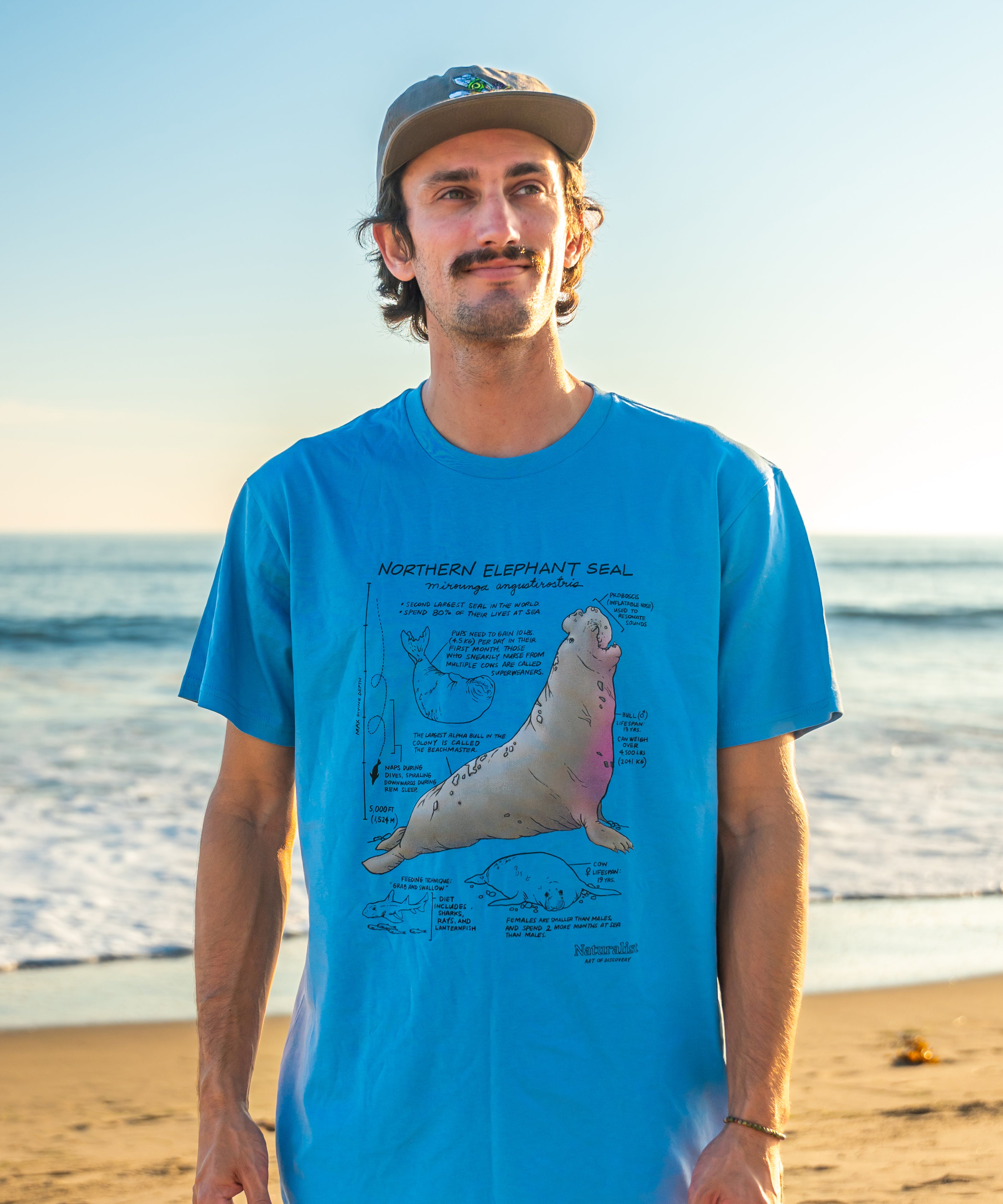 Man wearing a blue t-shirt with an elephant seal illustration on a beach