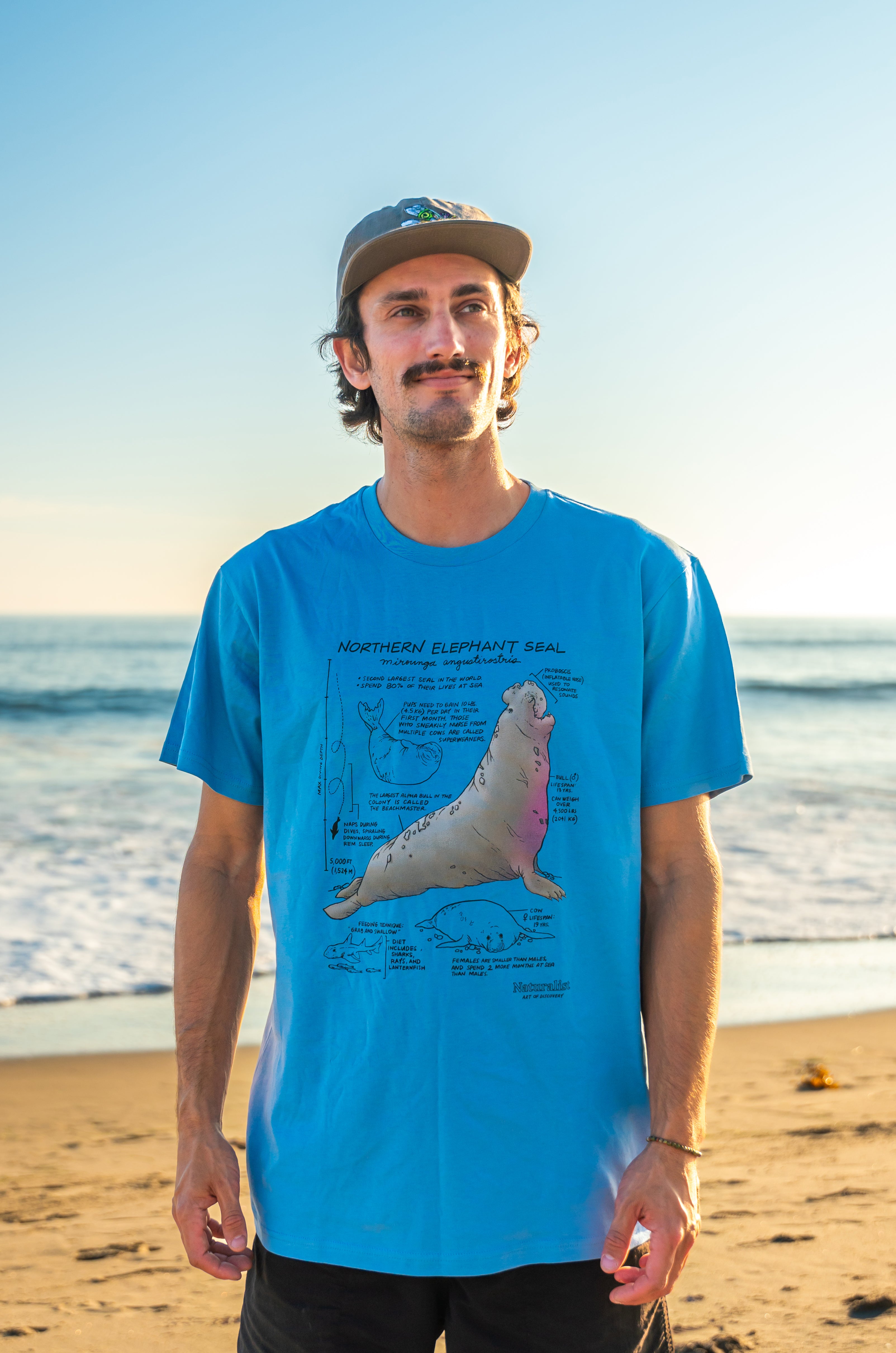 Man wearing a blue t-shirt with an elephant seal illustration on a beach