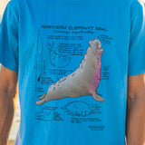 Person wearing a blue t-shirt with a graphic of a northern elephant seal and text.