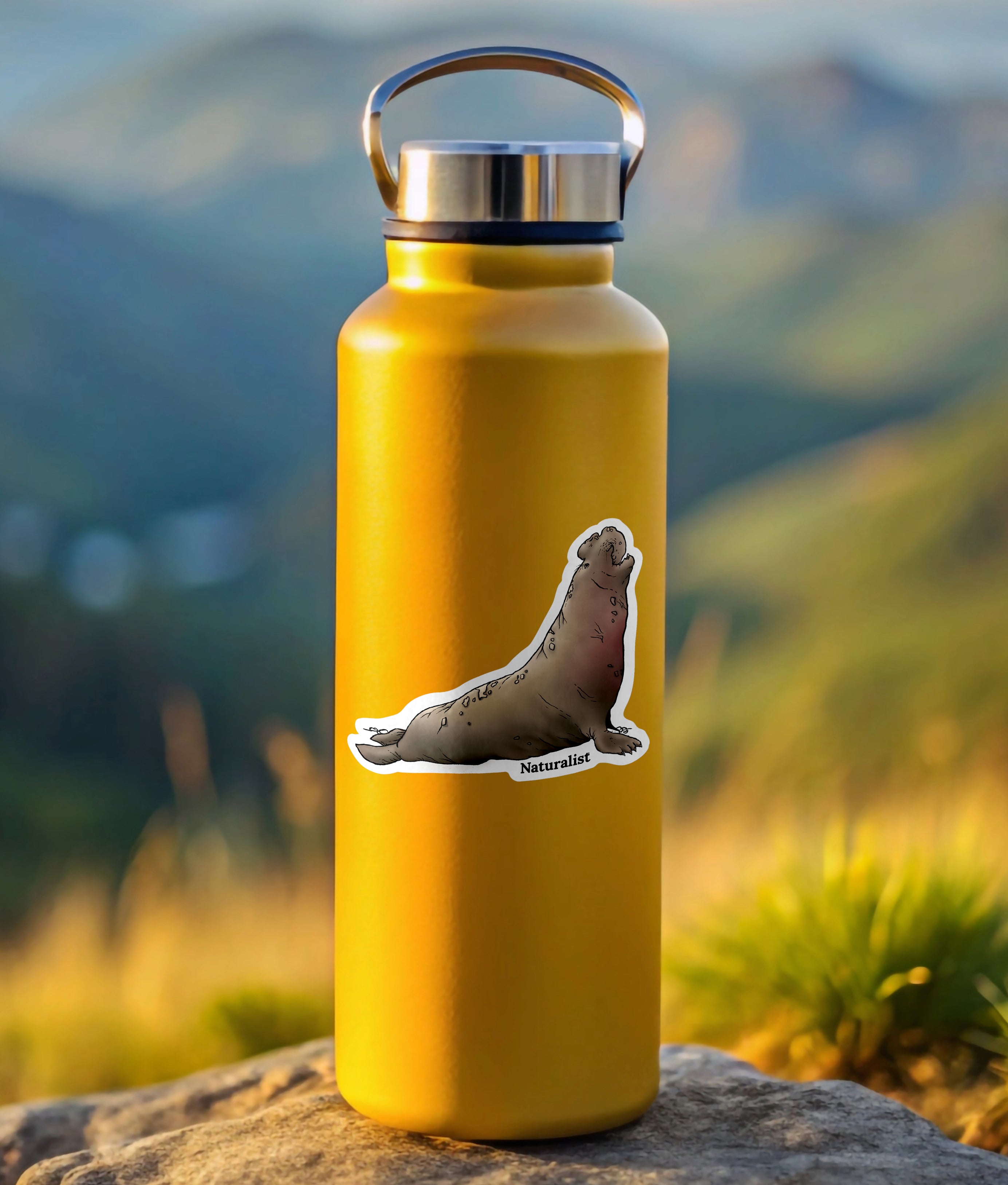 Yellow water bottle with a northern elephant seal sticker on a rock with a mountainous background