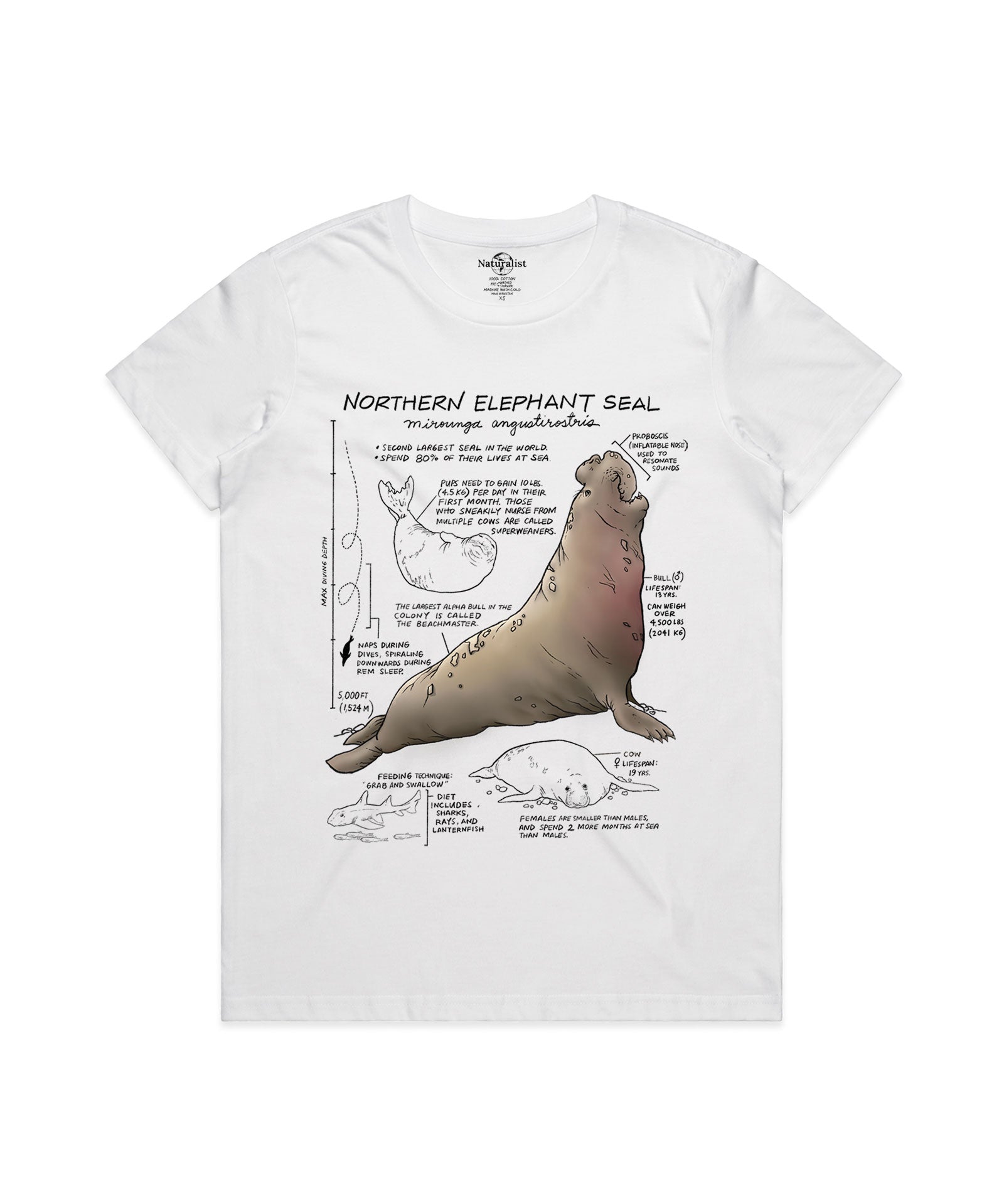 White t-shirt with a graphic of a northern elephant seal and text on a white background