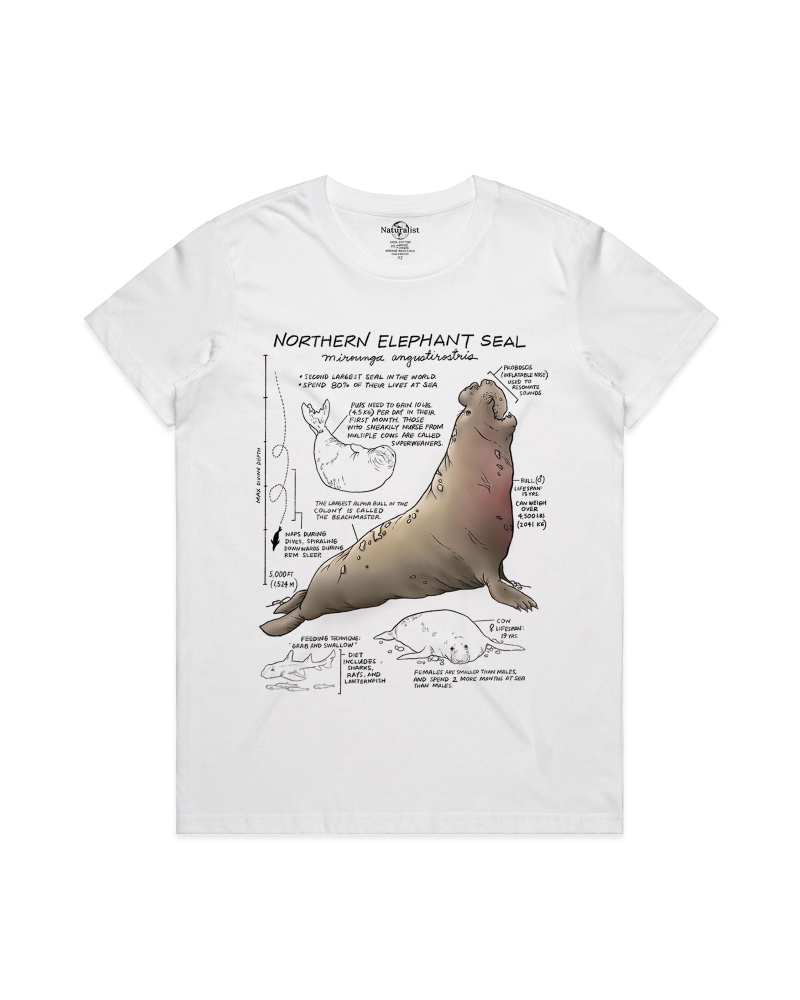 White t-shirt with a graphic of a northern elephant seal and text on a white background
