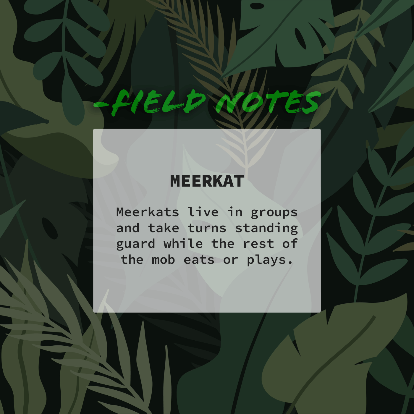 Naturalist Field Notes