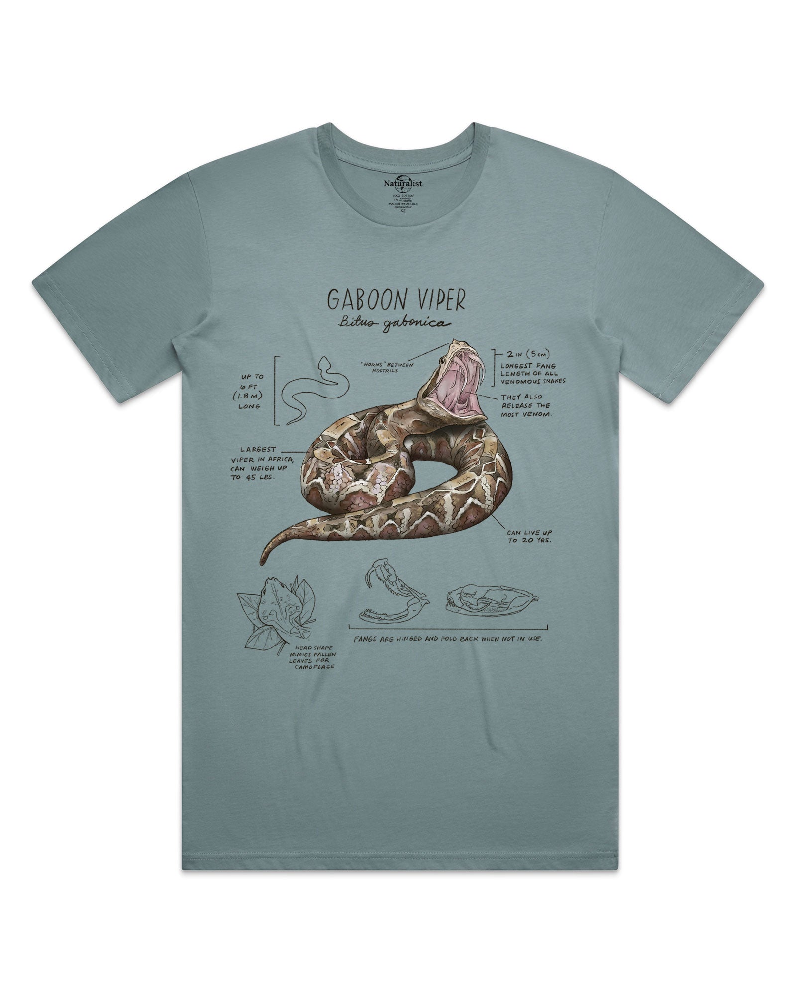 Teal t-shirt with a graphic of a Gaboon Viper and text on a white background