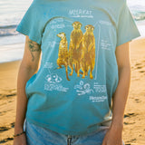 Person wearing a blue t-shirt with meerkat illustration on a beach