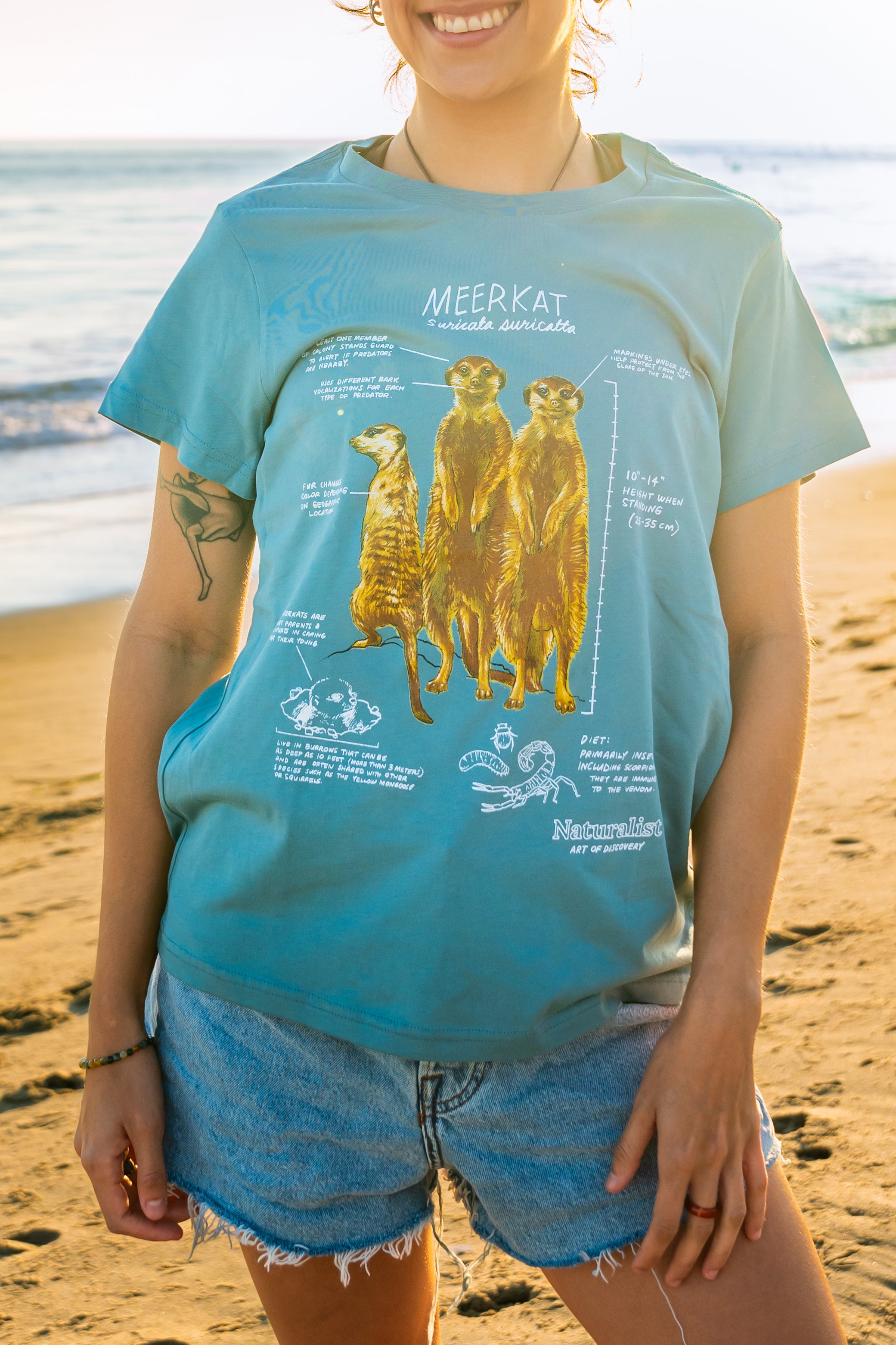 Person wearing a blue t-shirt with meerkat illustration on a beach