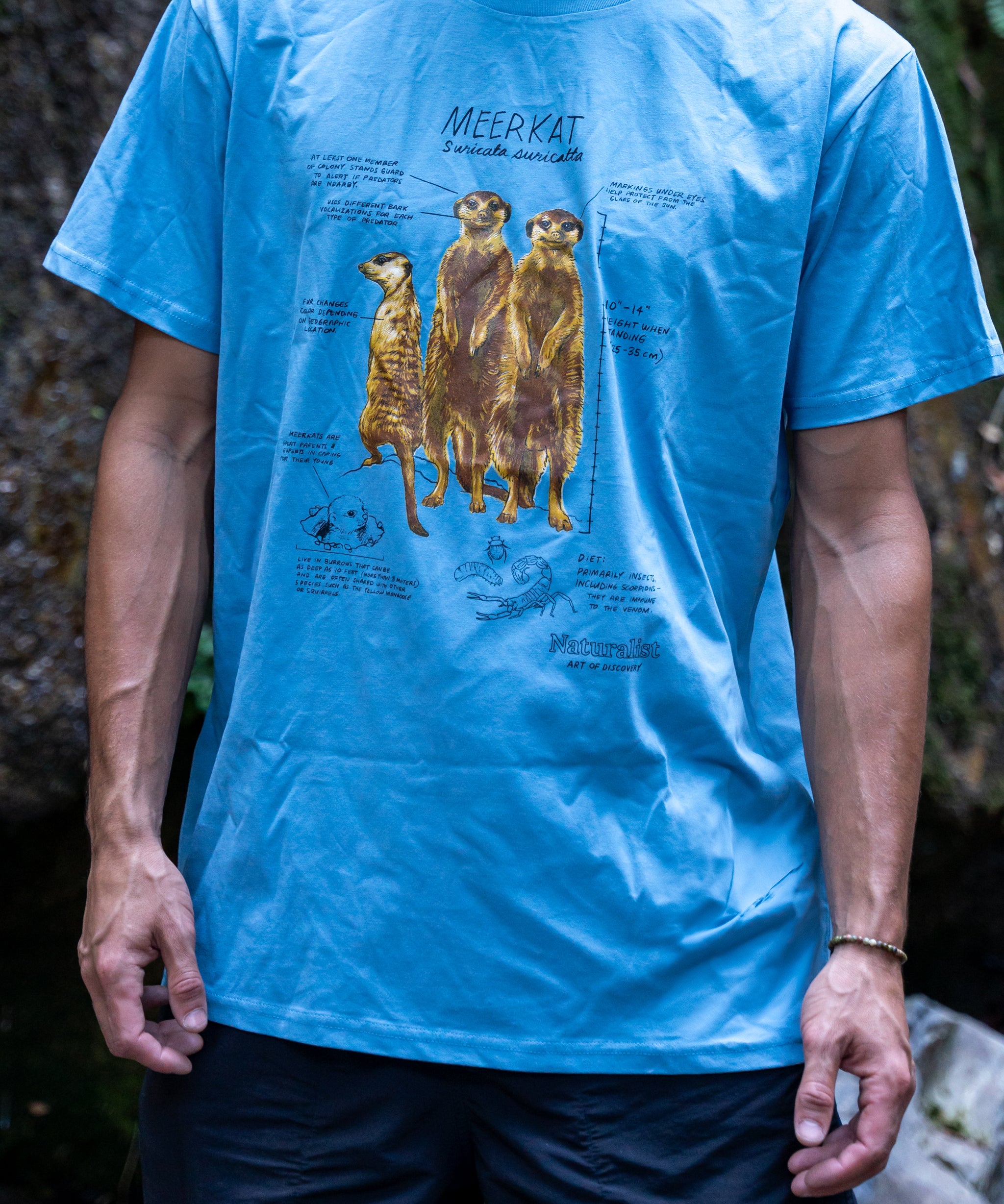 Person wearing a blue t-shirt with a graphic design of meerkats outdoors.