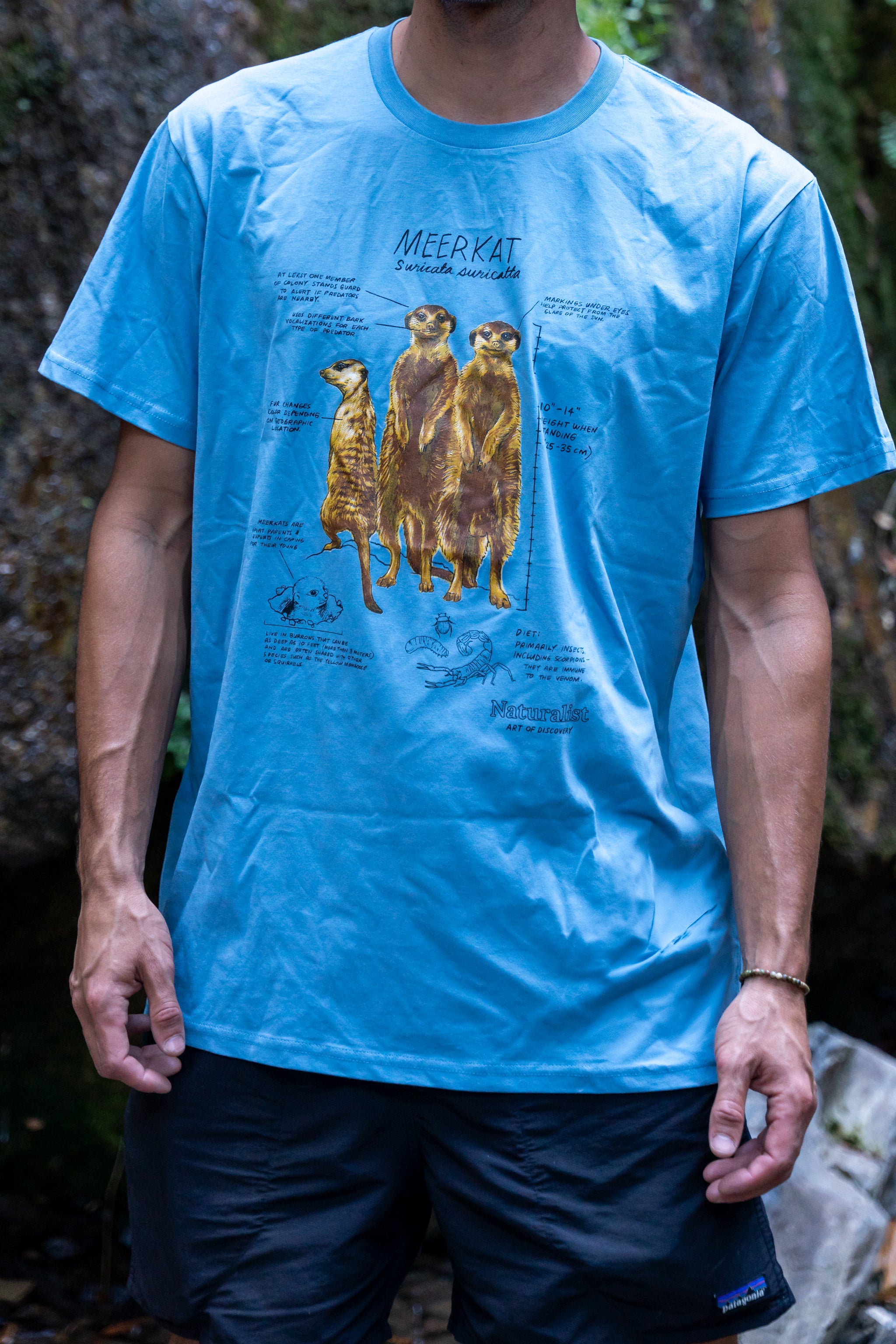 Person wearing a blue t-shirt with a graphic design of meerkats outdoors.