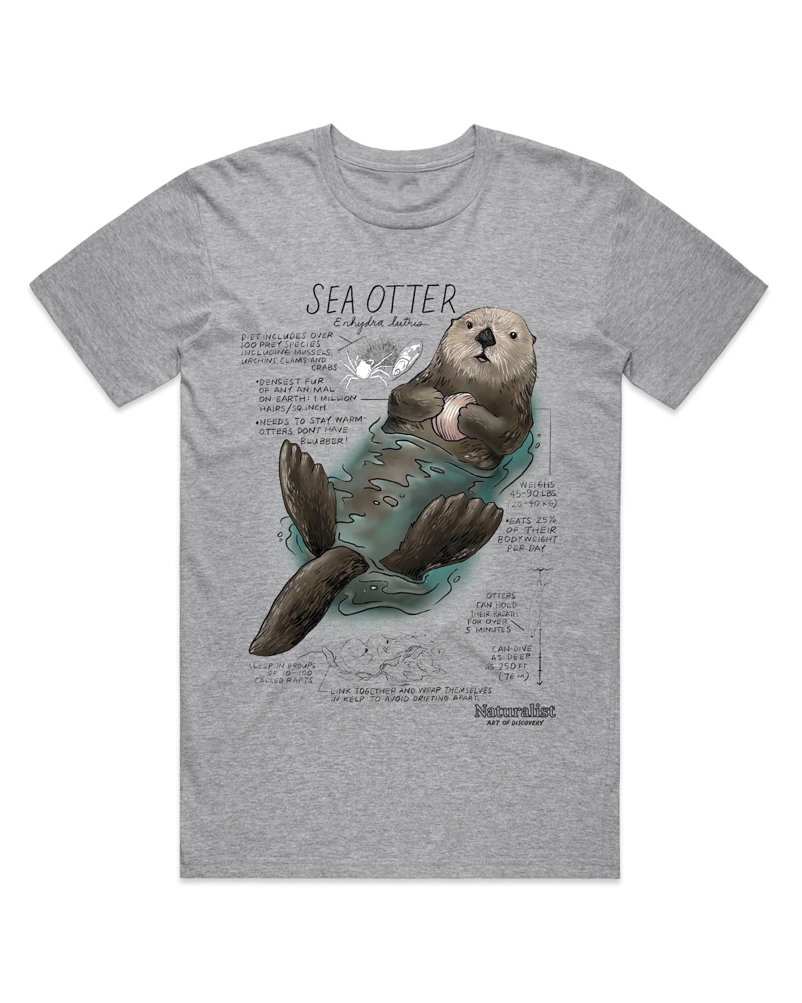 Sea Otter species facts graphic tee showing an illustrated sea otter floating in water with educational marine biology facts printed on a gray shirt