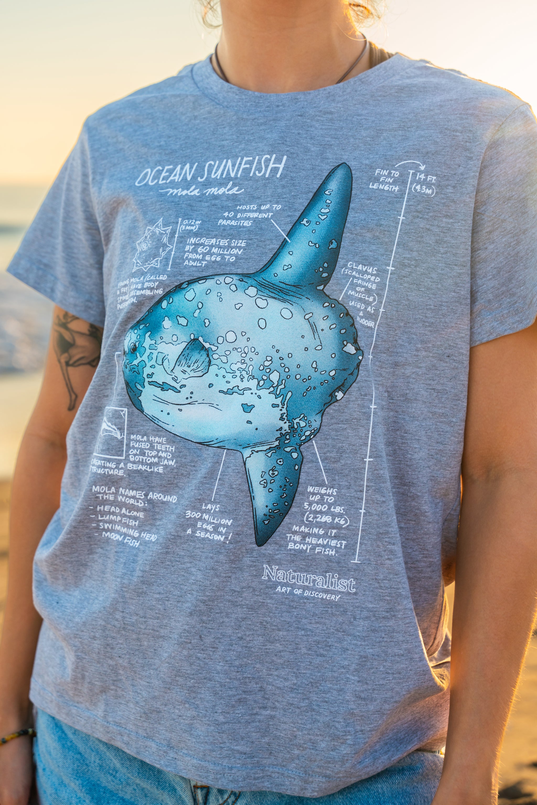 Person wearing a gray t-shirt with an ocean sunfish graphic and text.