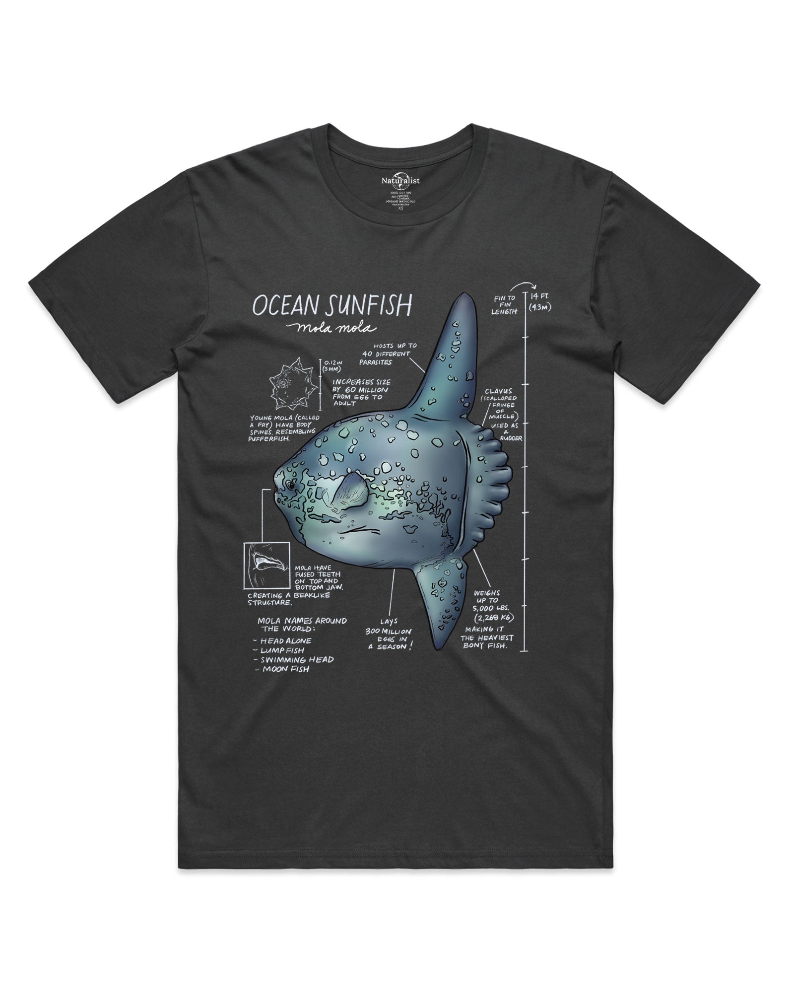 Black t-shirt with ocean sunfish graphic and text on a white background