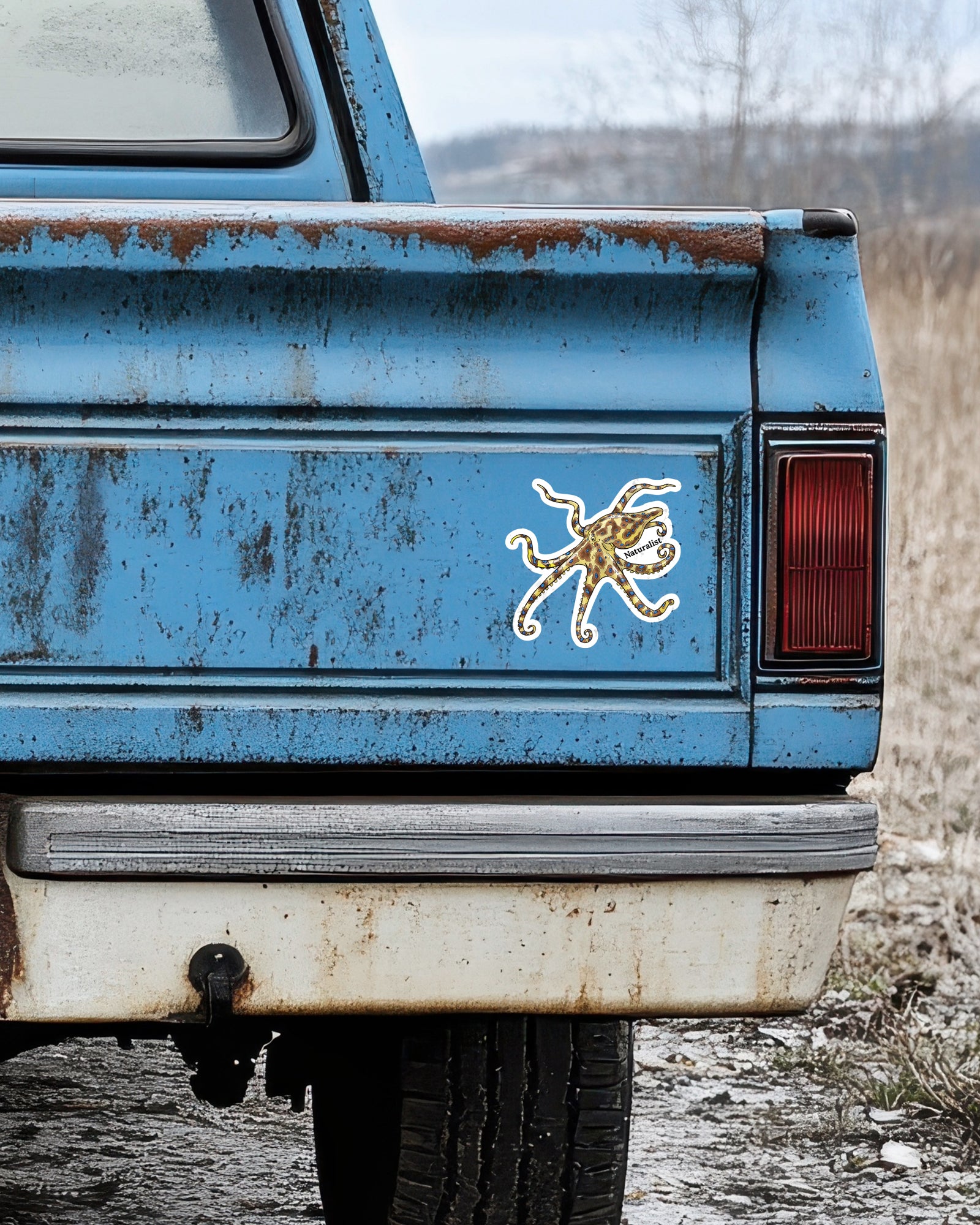 Rustic blue truck with a white and yellow blue ringed octopus decal on the back