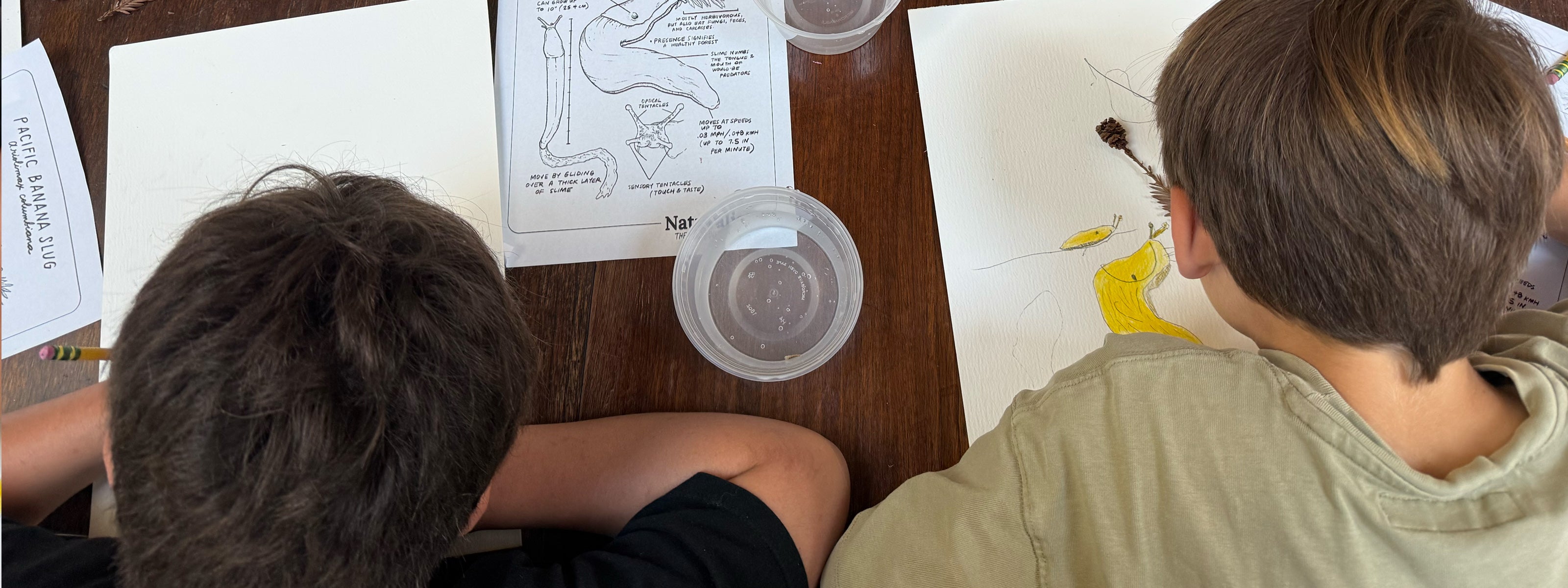Two children sitting at a table with educational materials, including a diagram and a map.
