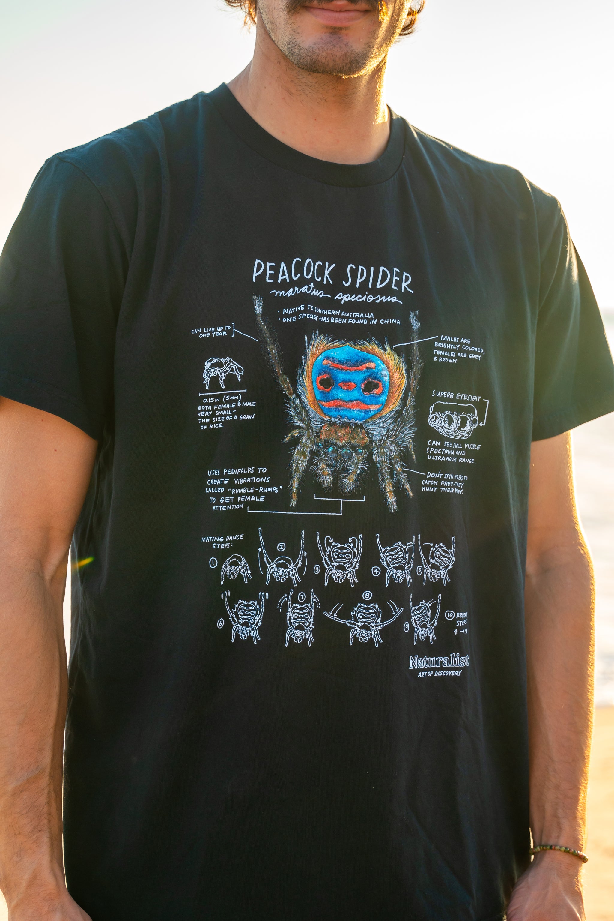 Person wearing a black t-shirt with a graphic design of a peacock spider and text.