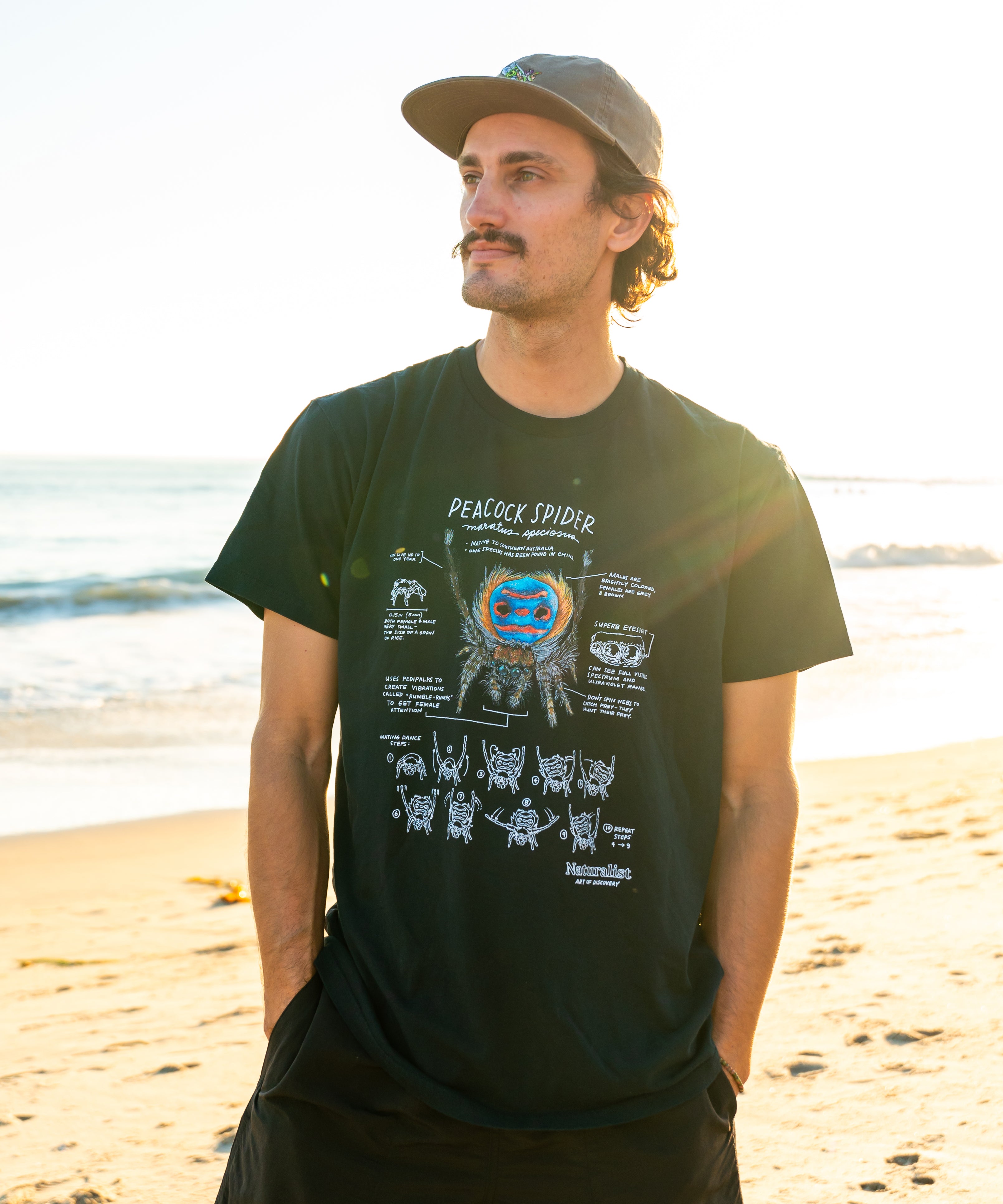 Man wearing a black t-shirt with a peacock spider on a beach
