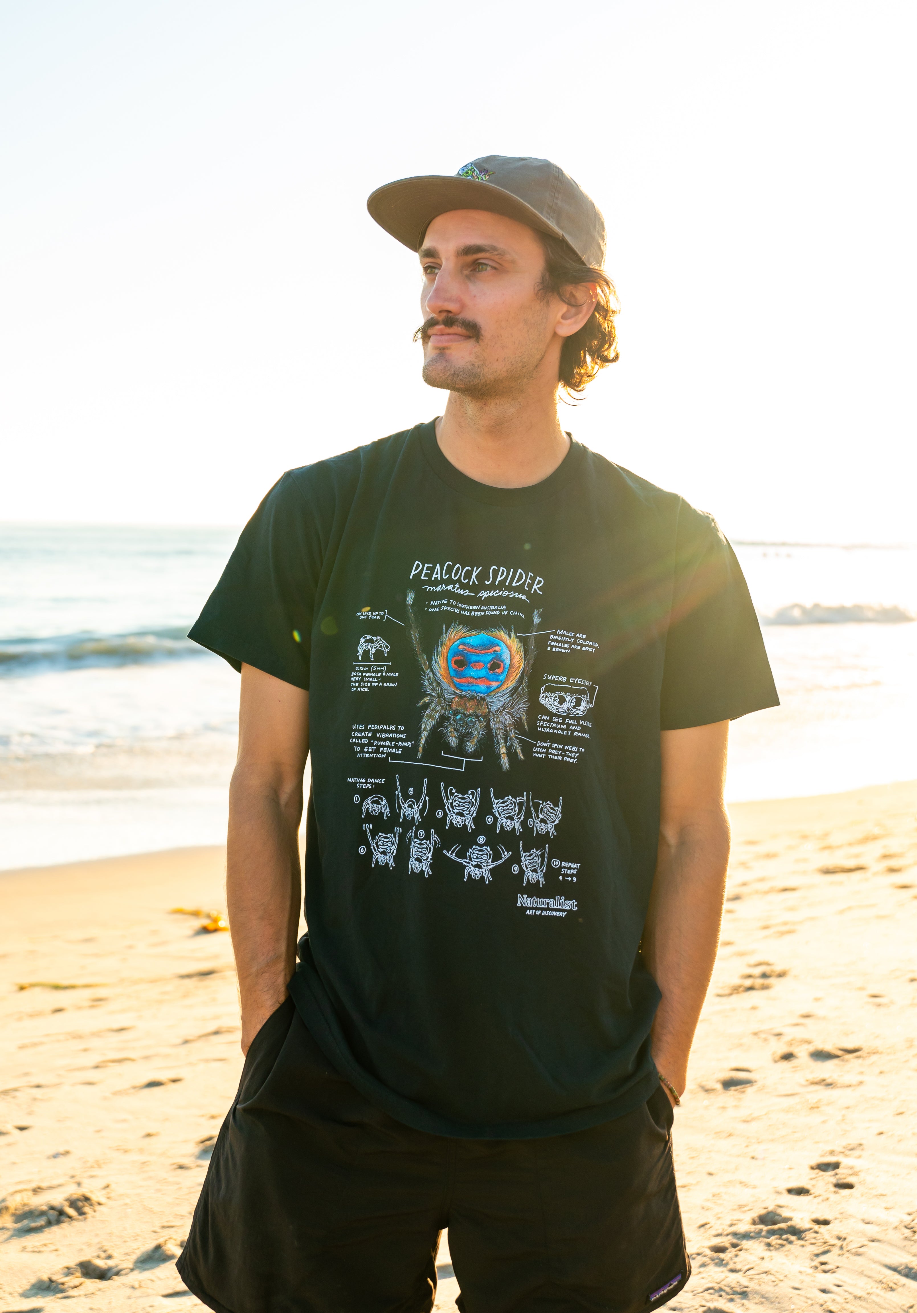 Man wearing a black t-shirt with a peacock spider on a beach