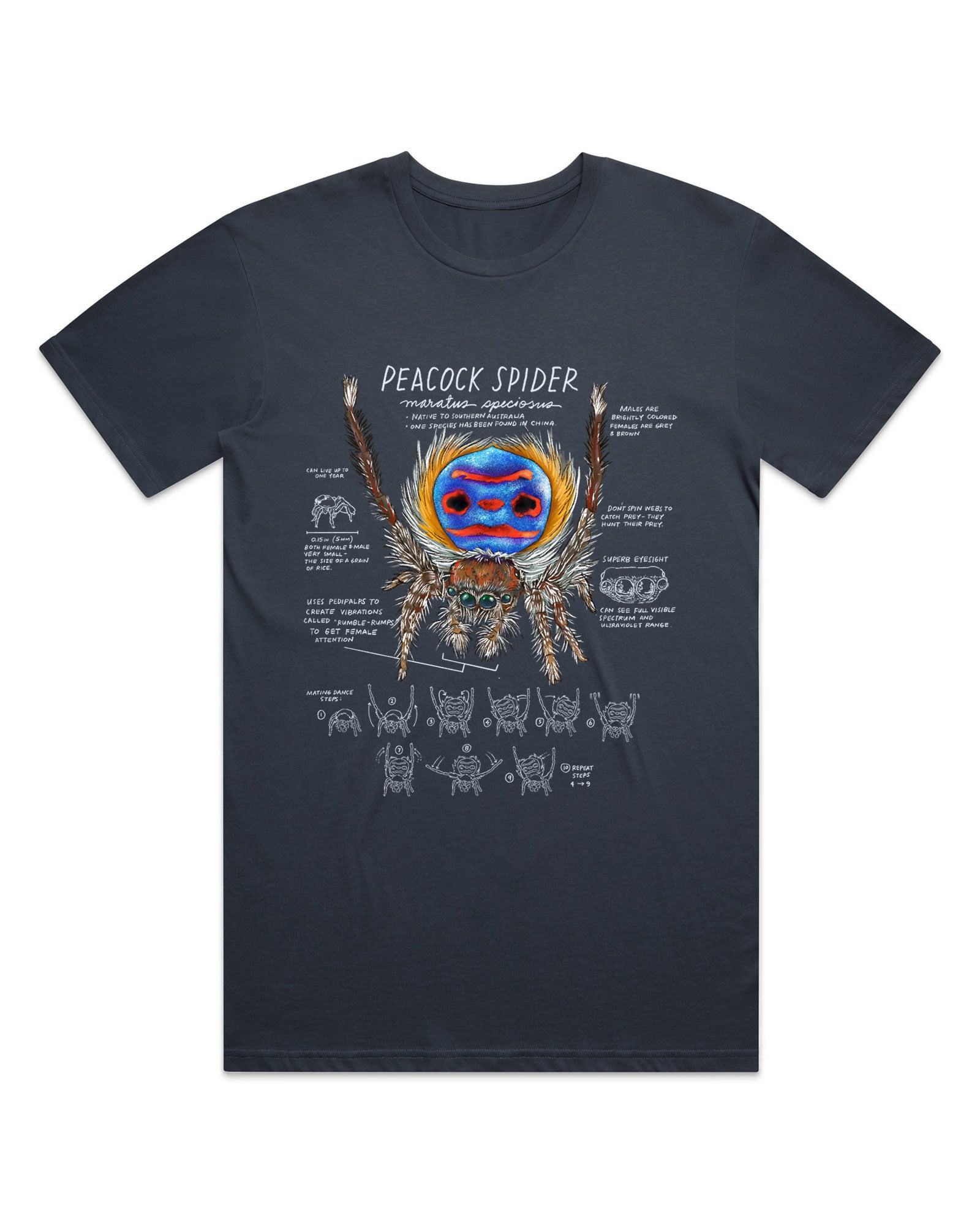 Black t-shirt with a colorful peacock spider graphic and text on a white background