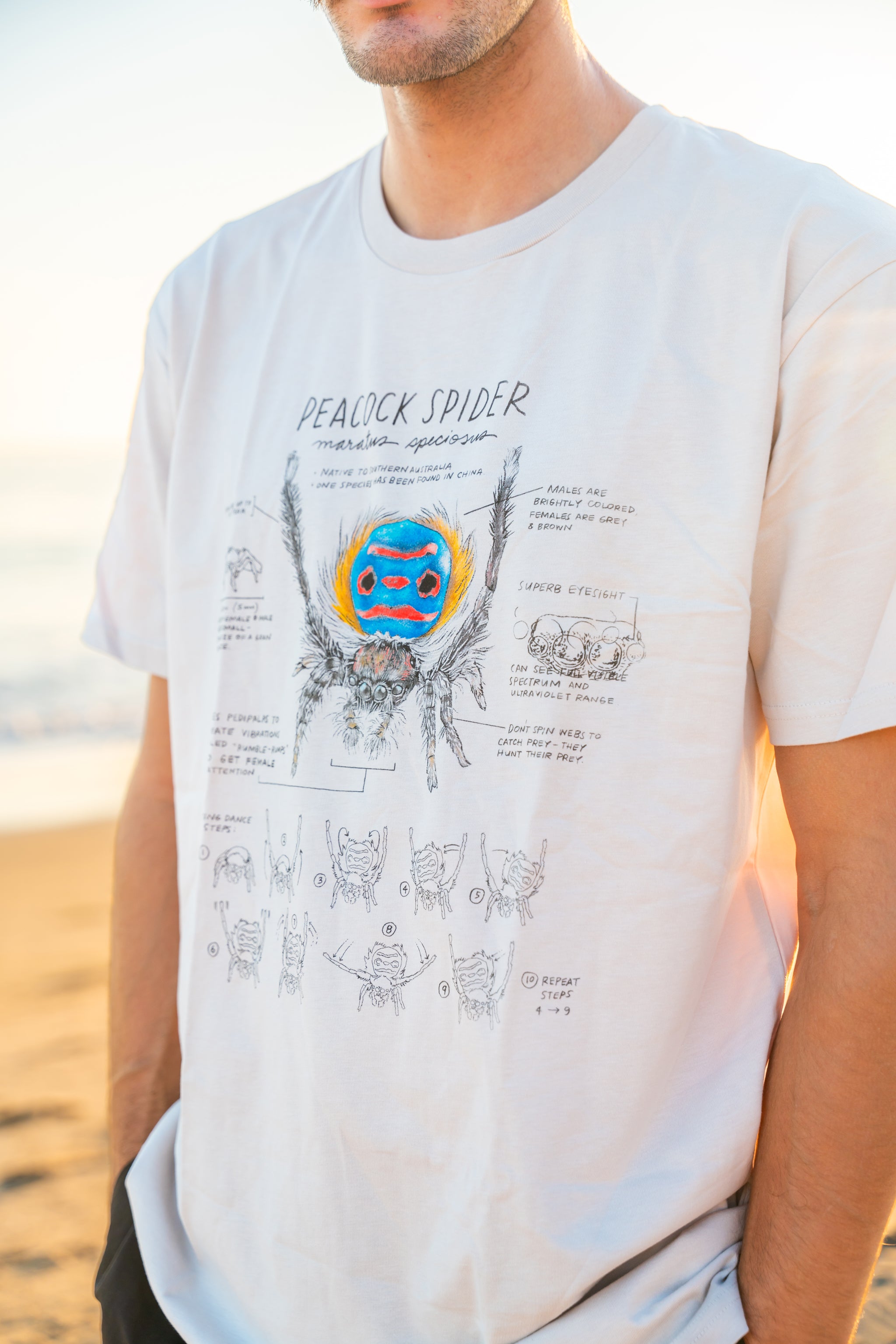 Person wearing a t-shirt with a spider graphic and text on a beach.