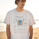 Man wearing a white t-shirt with a graphic design of a peacock spider on a beach
