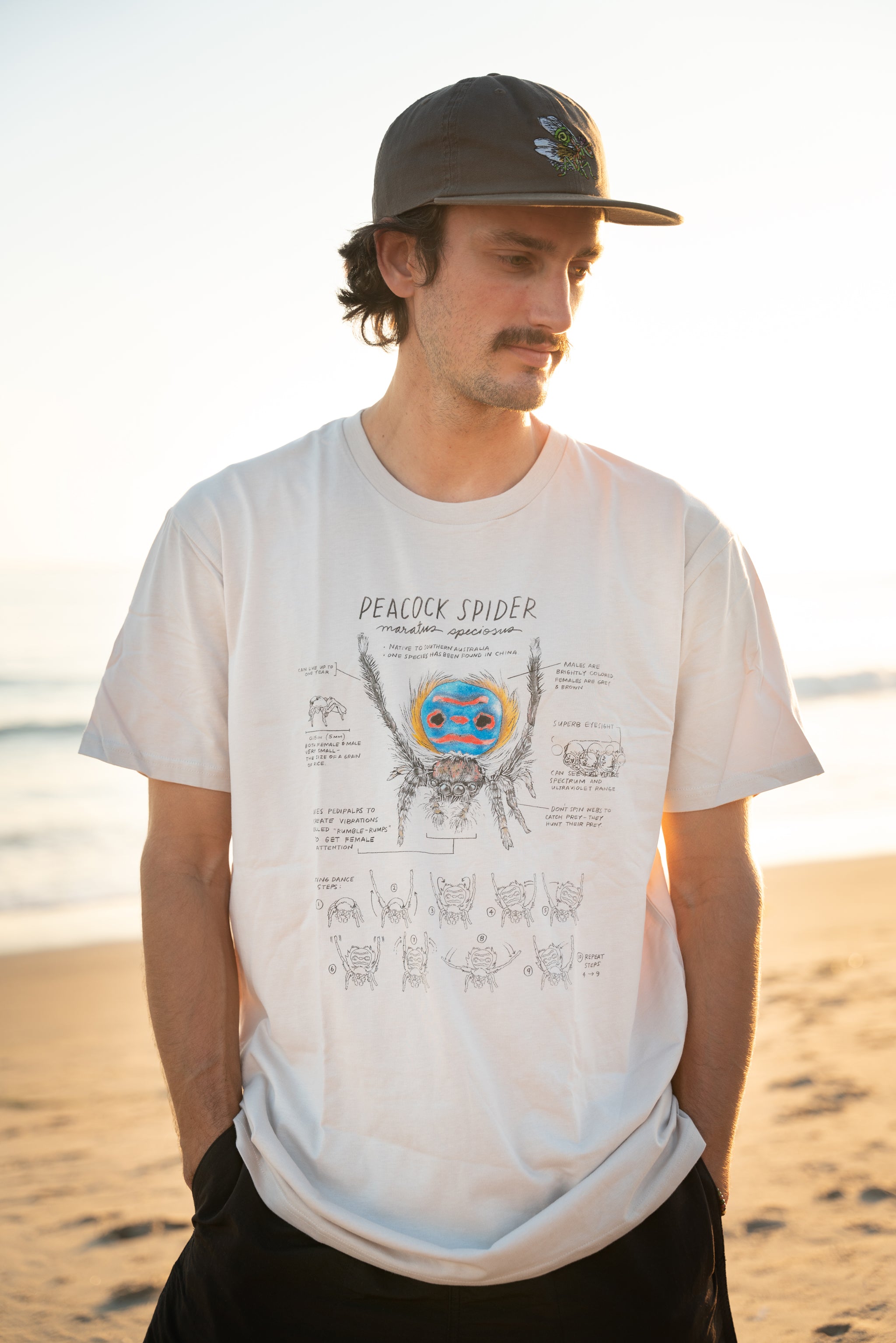 Man wearing a white t-shirt with a graphic design of a peacock spider on a beach