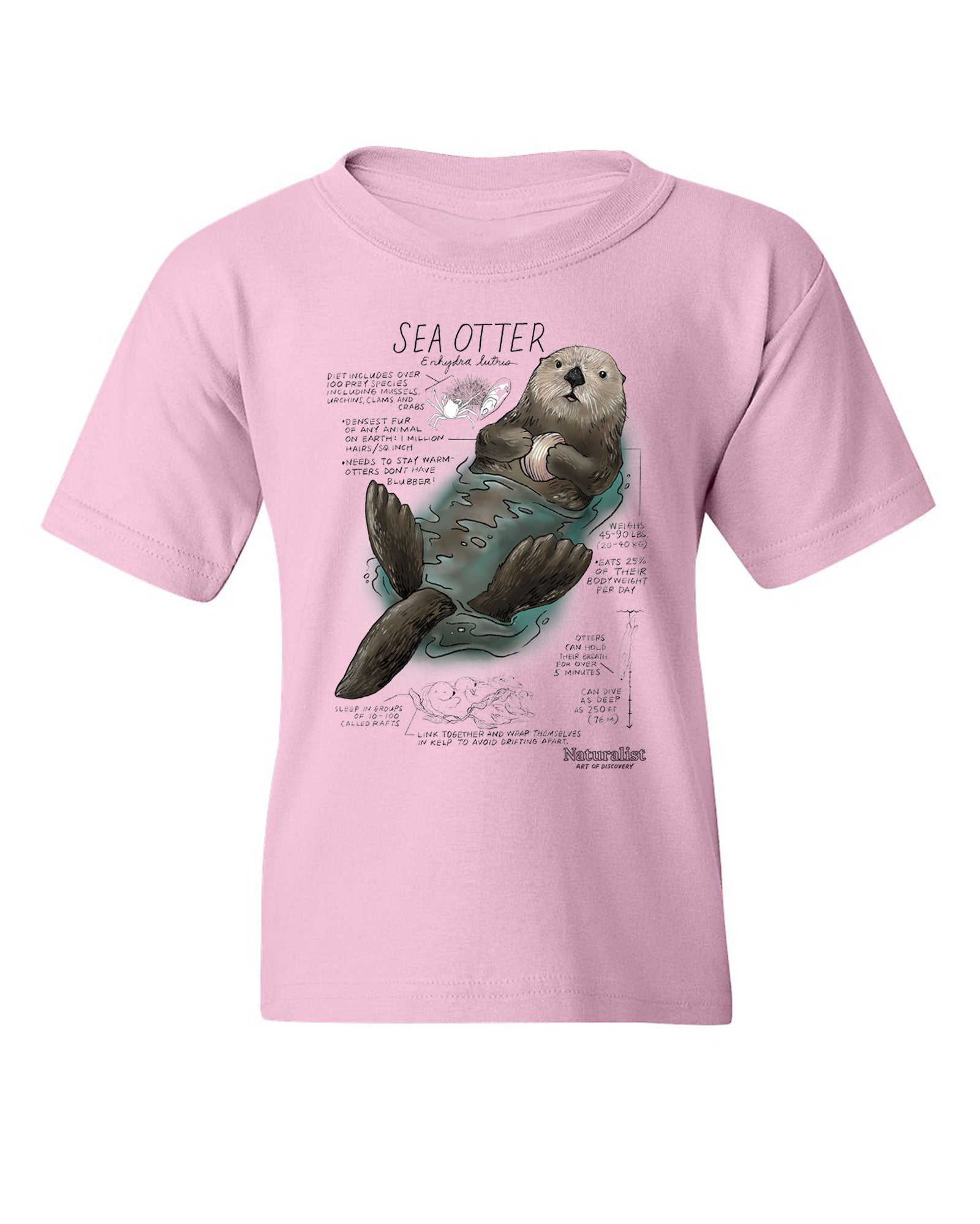 Youth sea otter graphic t-shirt in pink with illustrated sea otter floating and marine wildlife facts Naturalist youth tee
