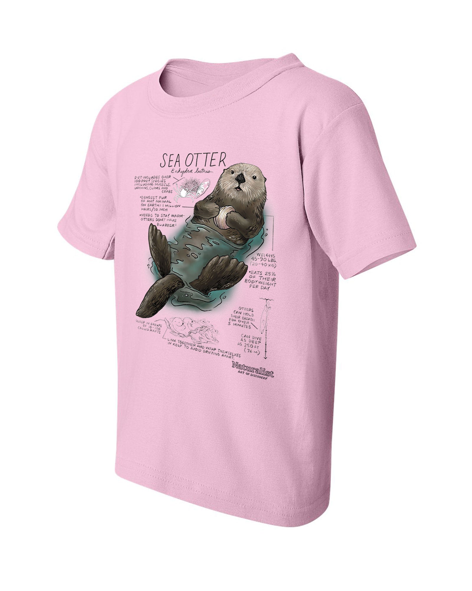 Youth sea otter graphic t-shirt in pink featuring illustrated sea otter floating with marine species facts Naturalist wildlife tee
