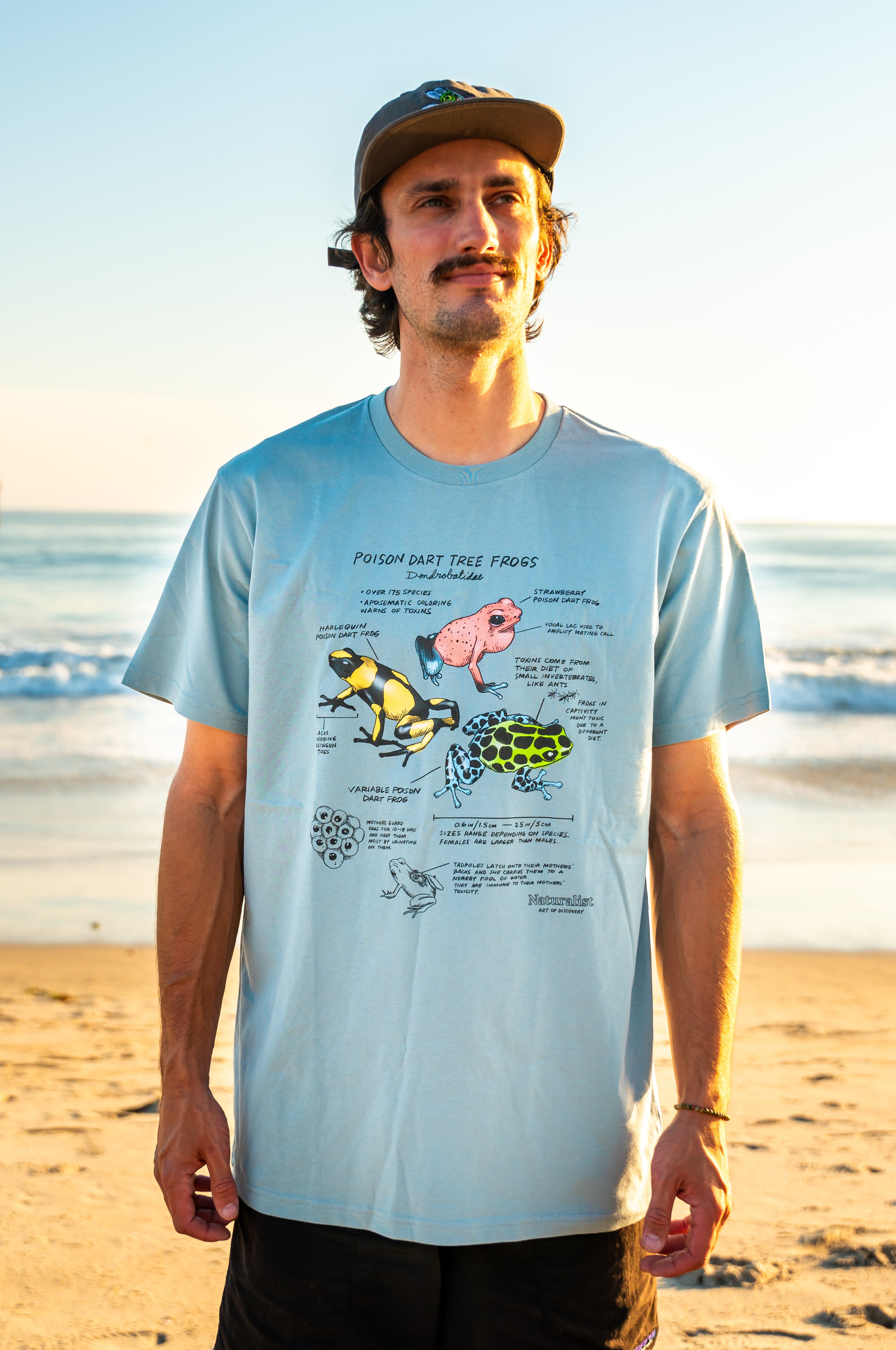 Man wearing a light blue t-shirt with apoison dart frogs on a beach