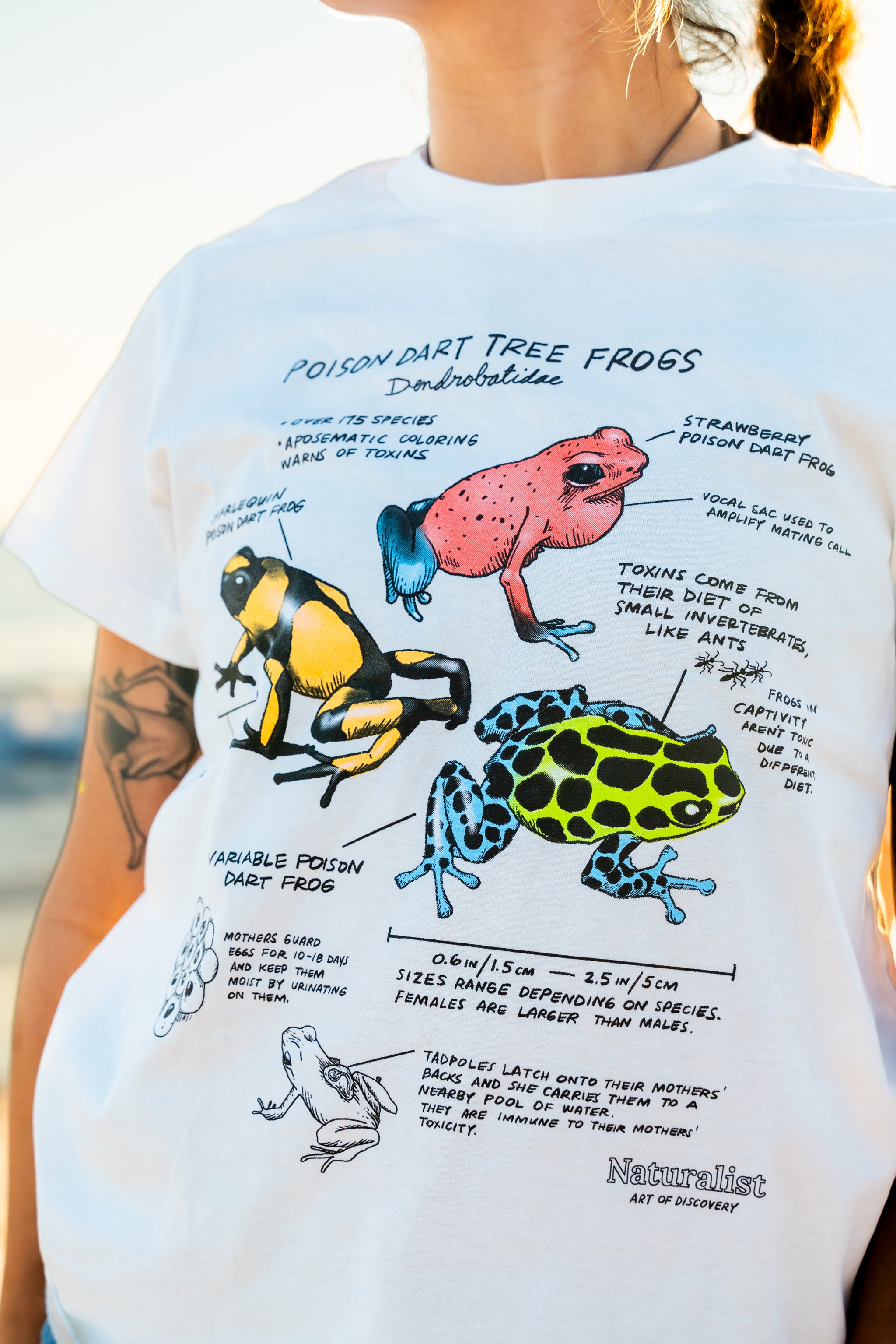 Person wearing a t-shirt with illustrations of poison dart frogs and text.