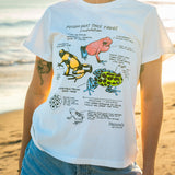 Person wearing a white t-shirt with educational frog diagram on a beach