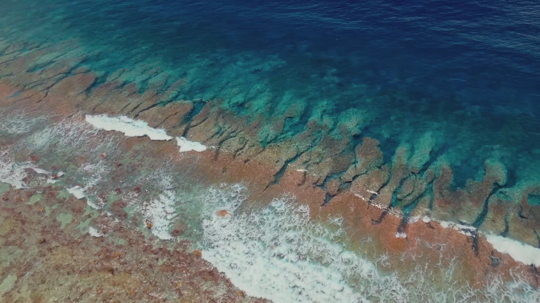 naturalist brand video