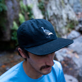 Person wearing a black cap with a california quail