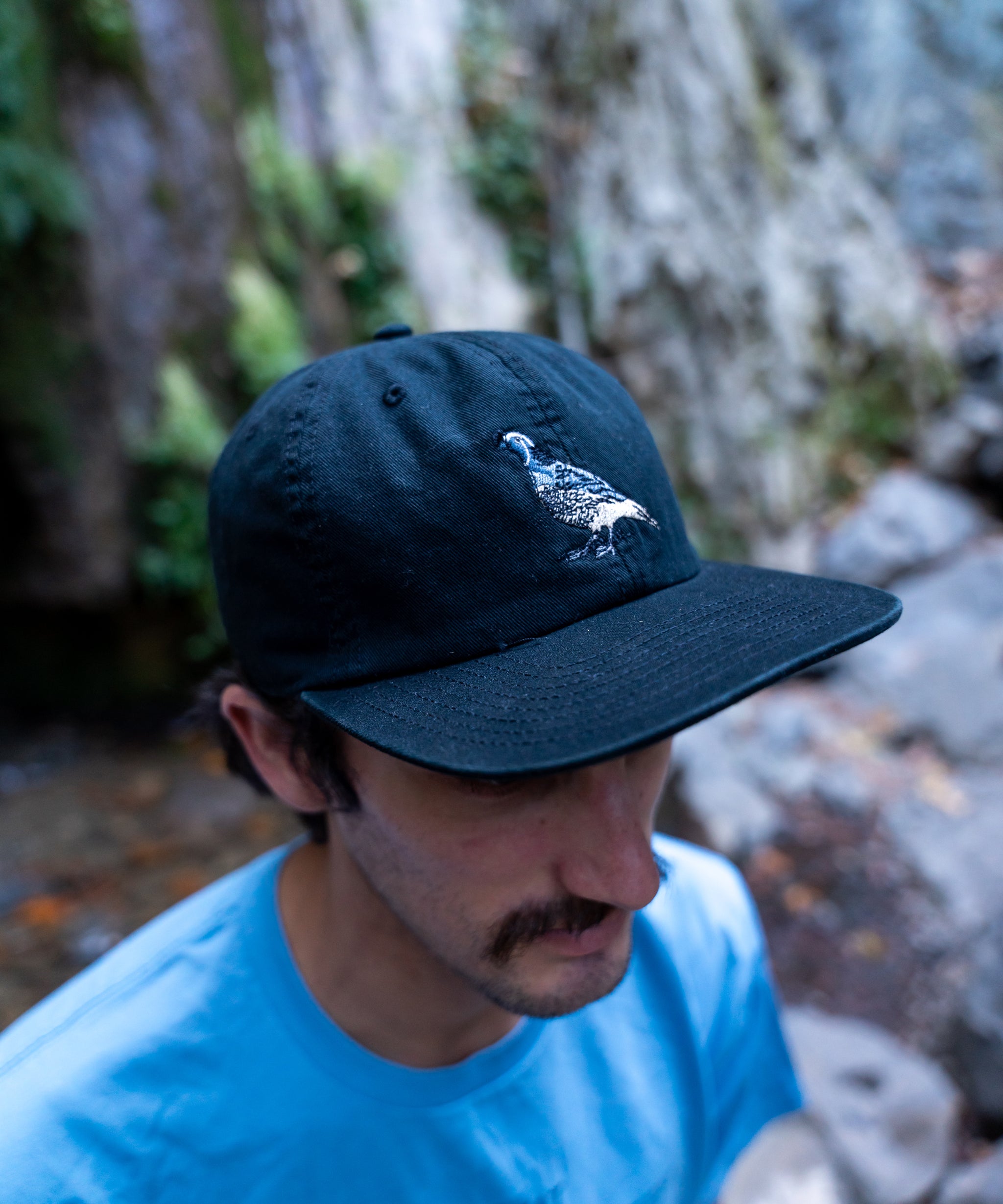 Person wearing a black cap with a california quail
