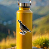 Yellow water bottle with a california quail sticker on a rock with a mountainous background