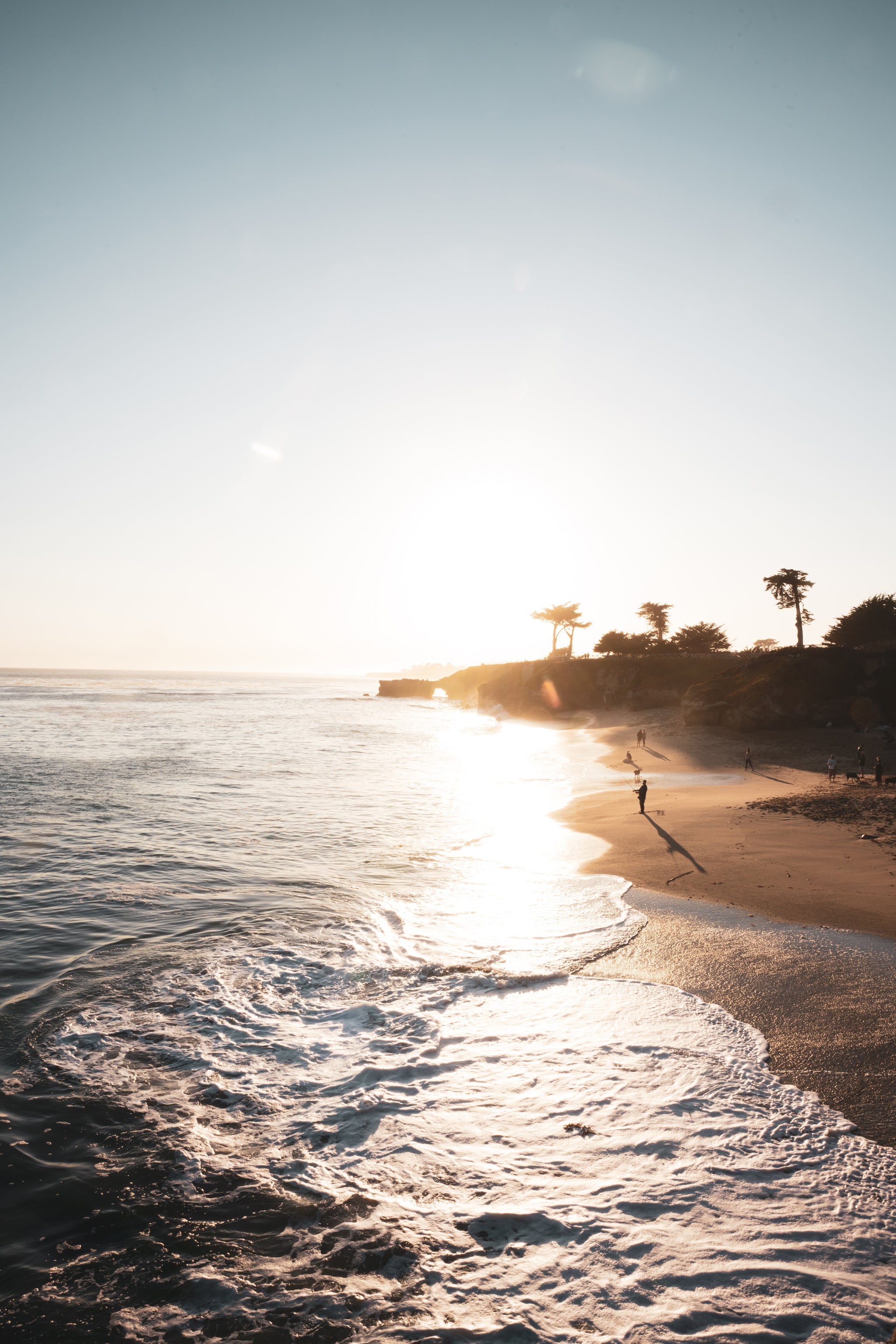 Sunset at a beach with trees and a person walking on the sand.