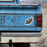 Rustic blue truck with a sticker of a sea otter on the back, outdoors.