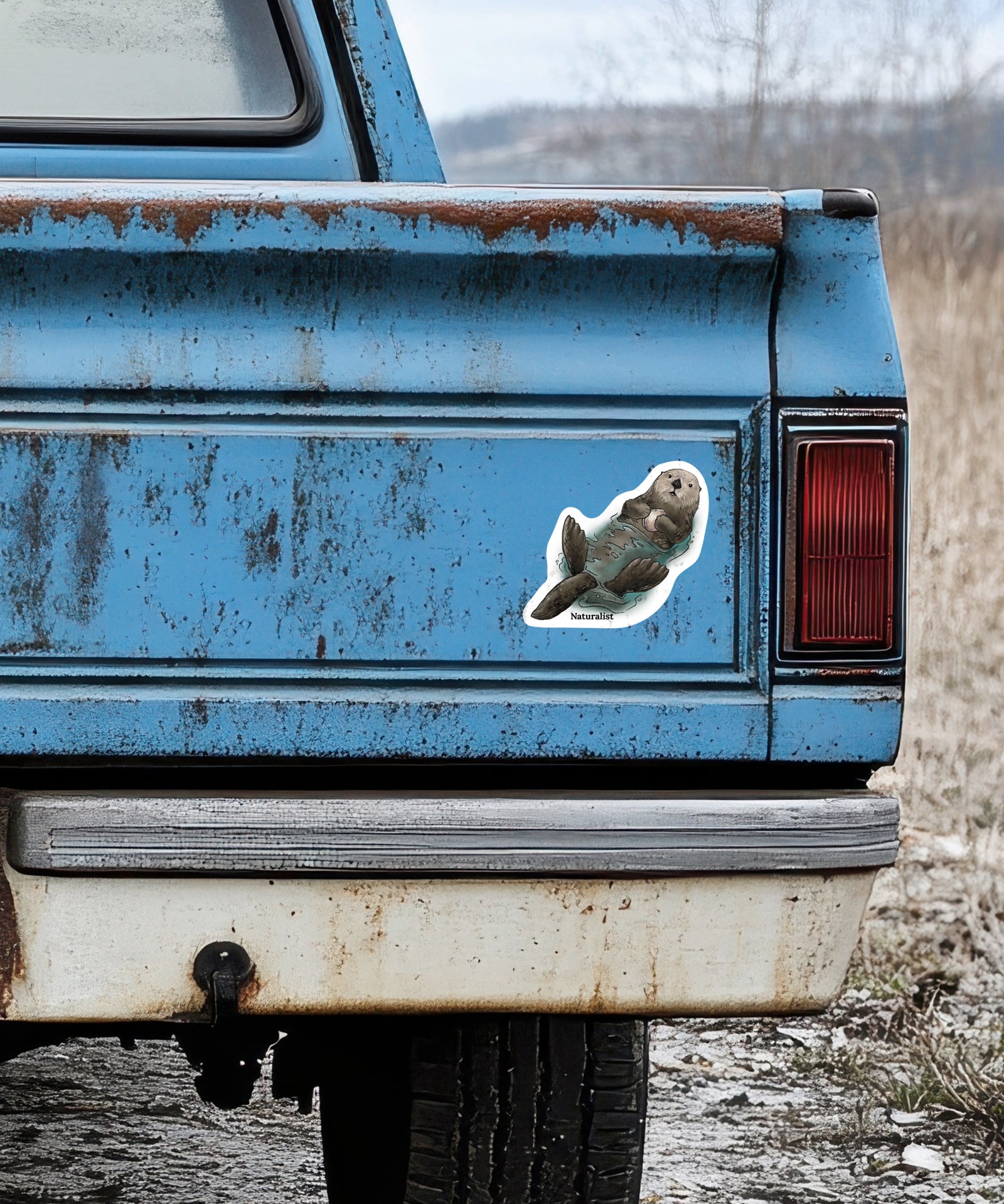 Rustic blue truck with a sticker of a sea otter on the back, outdoors.