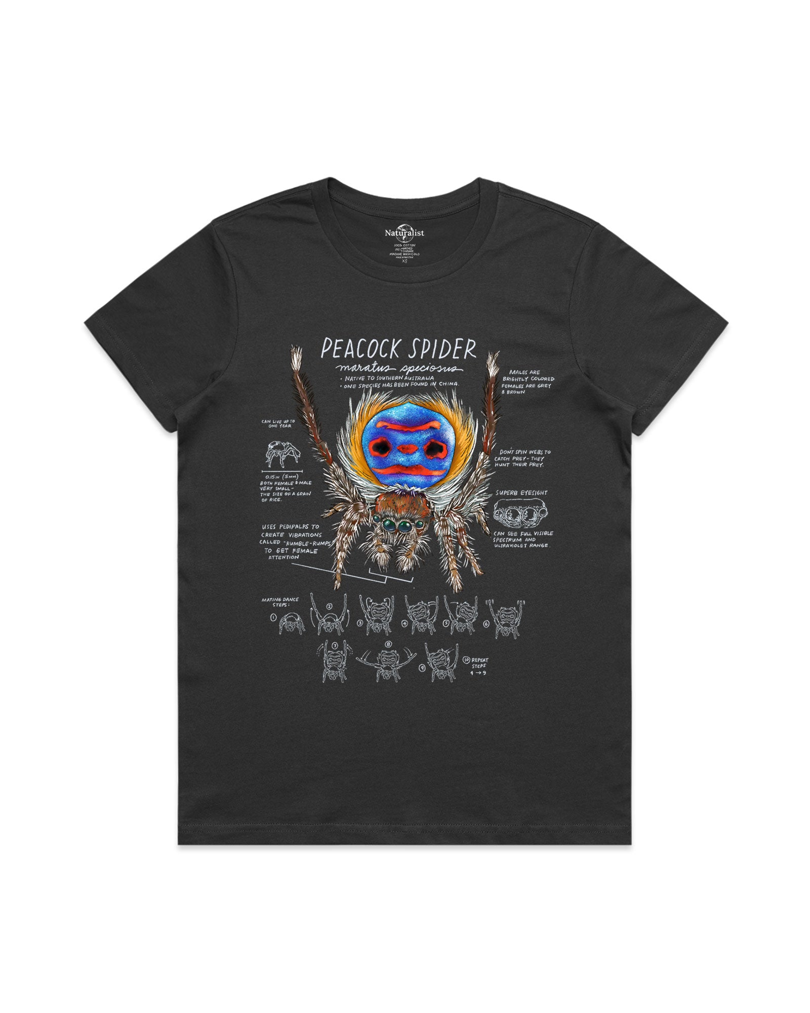 Black t-shirt with a colorful peacock spider design and text on a white background