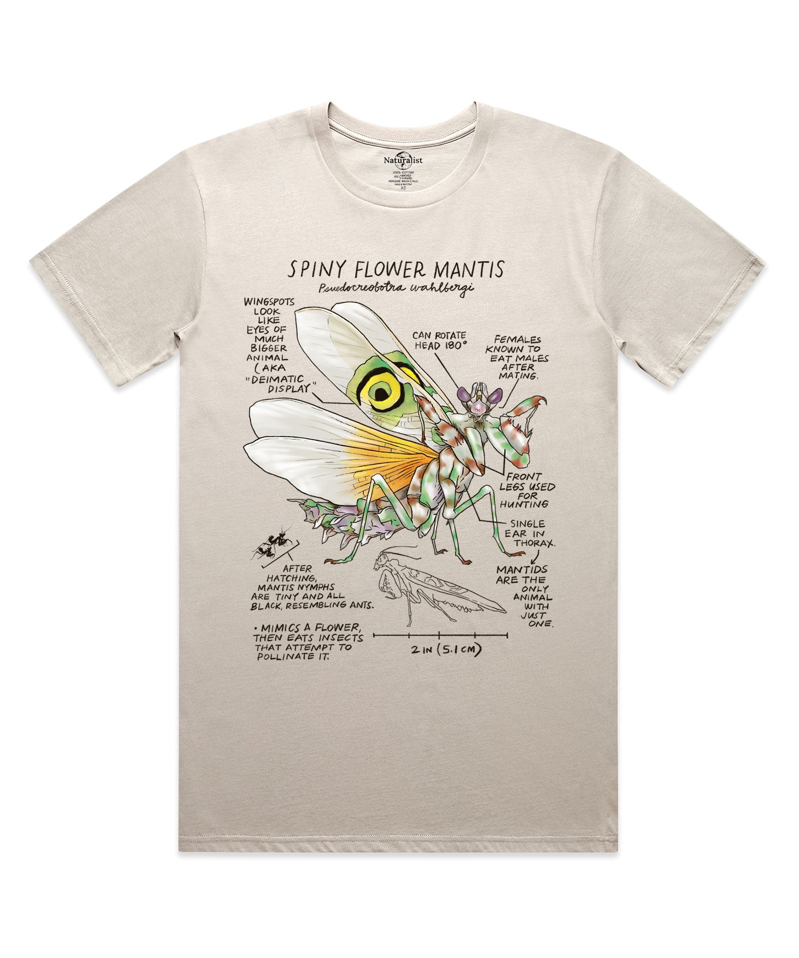 Beige t-shirt with spiny flower mantis graphic and text on a white background