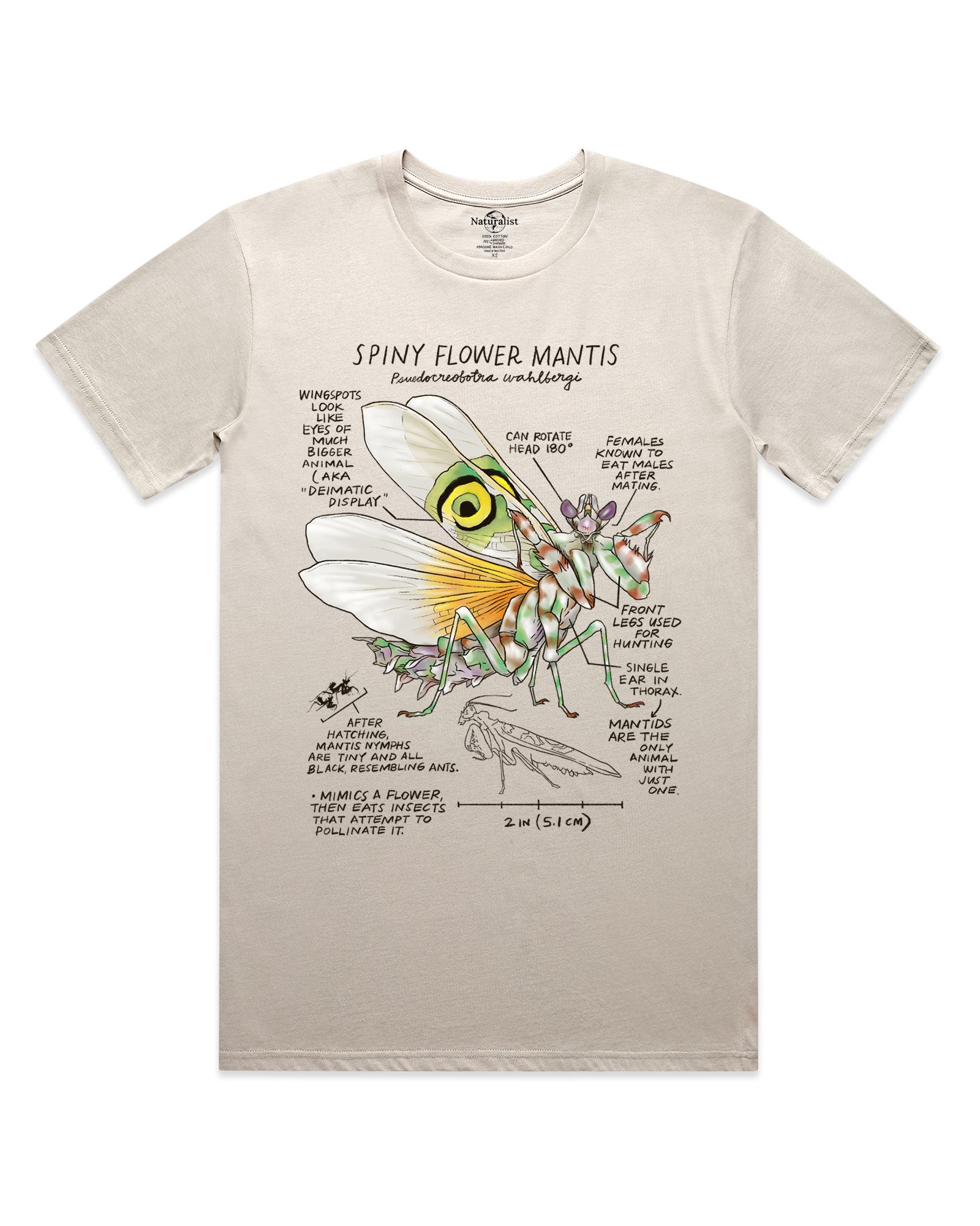 Beige t-shirt with spiny flower mantis graphic and text on a white background
