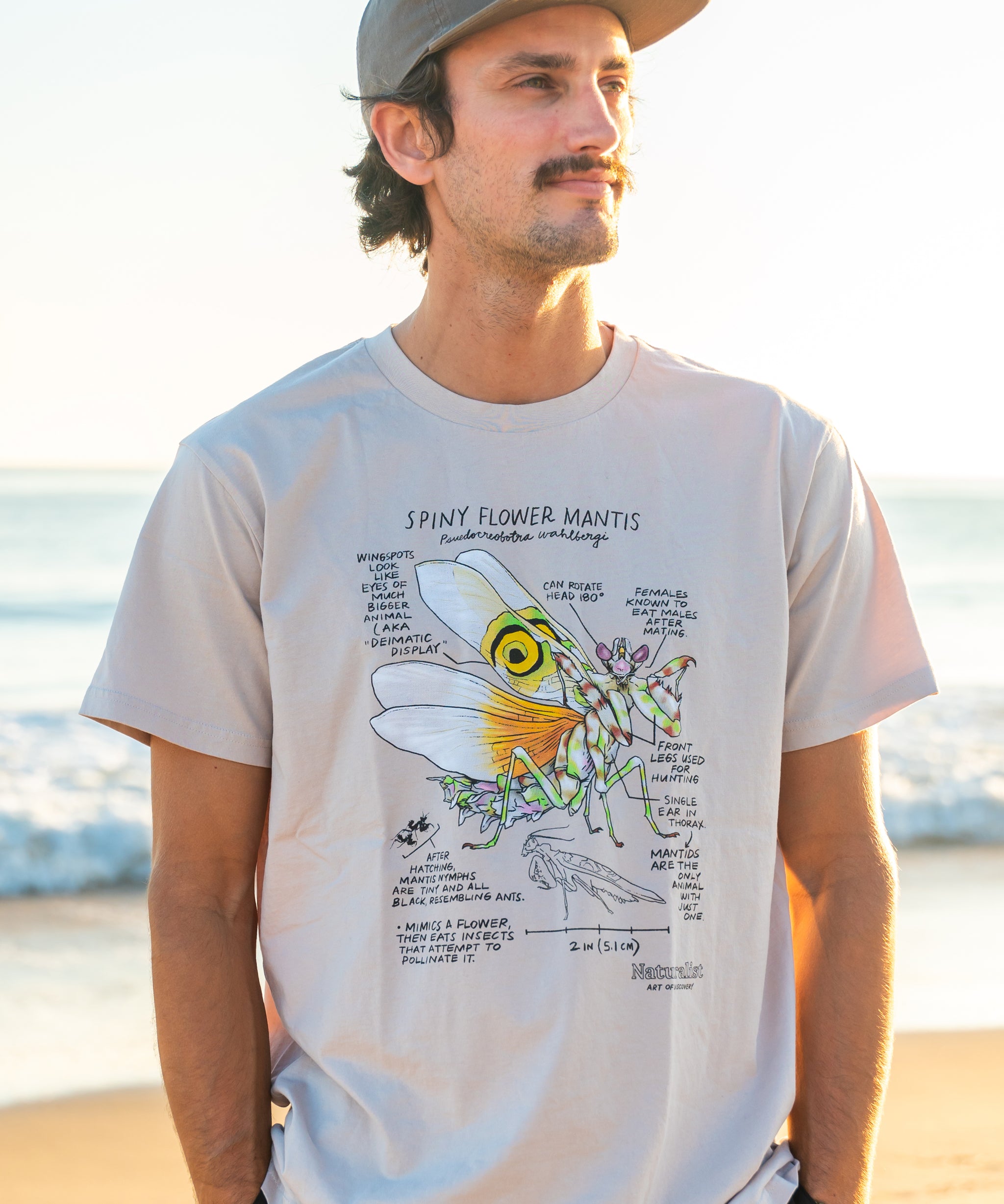 Man wearing a t-shirt with a spiny flower mantis design on a beach