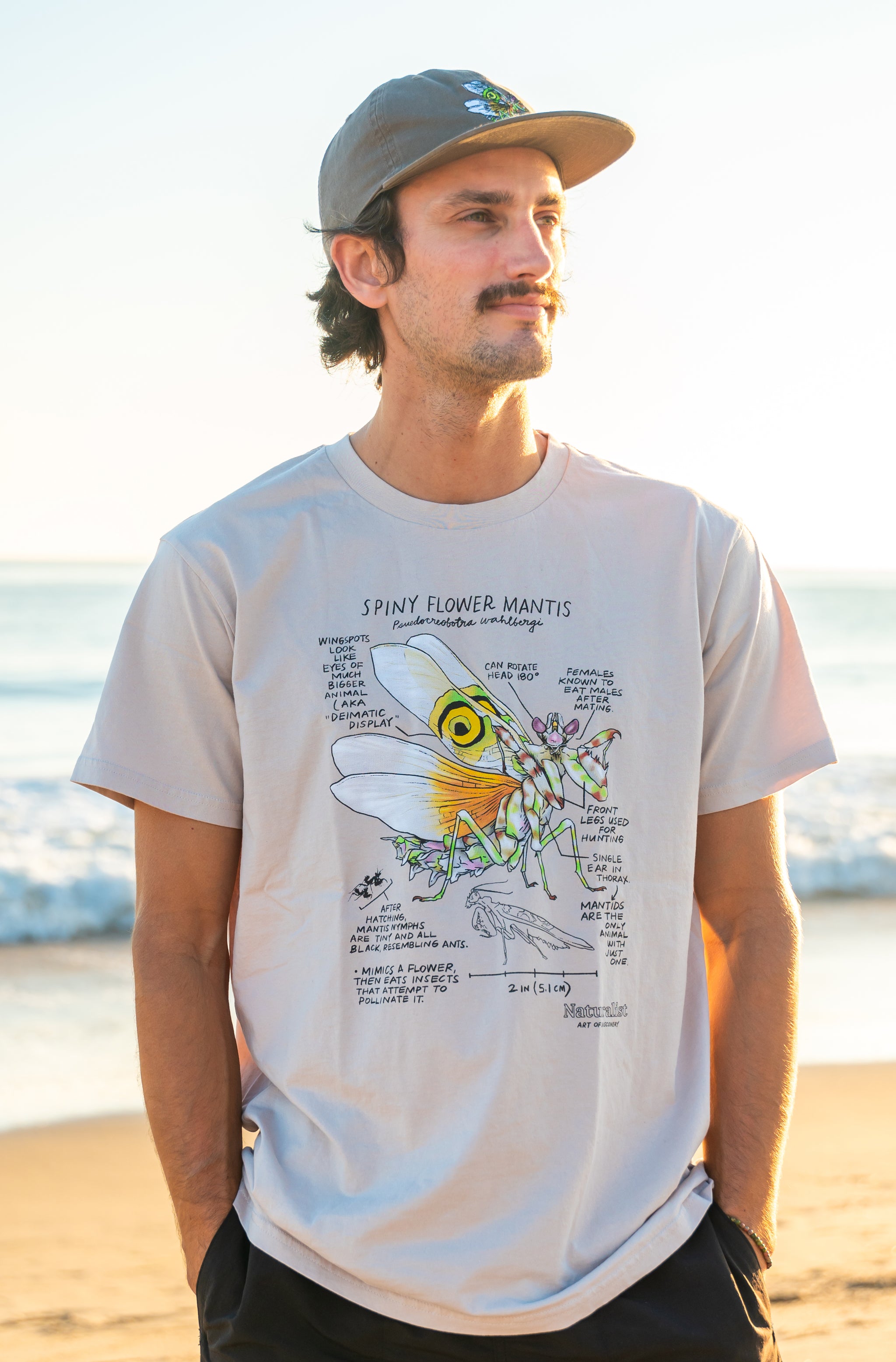 Man wearing a t-shirt with a spiny flower mantis design on a beach