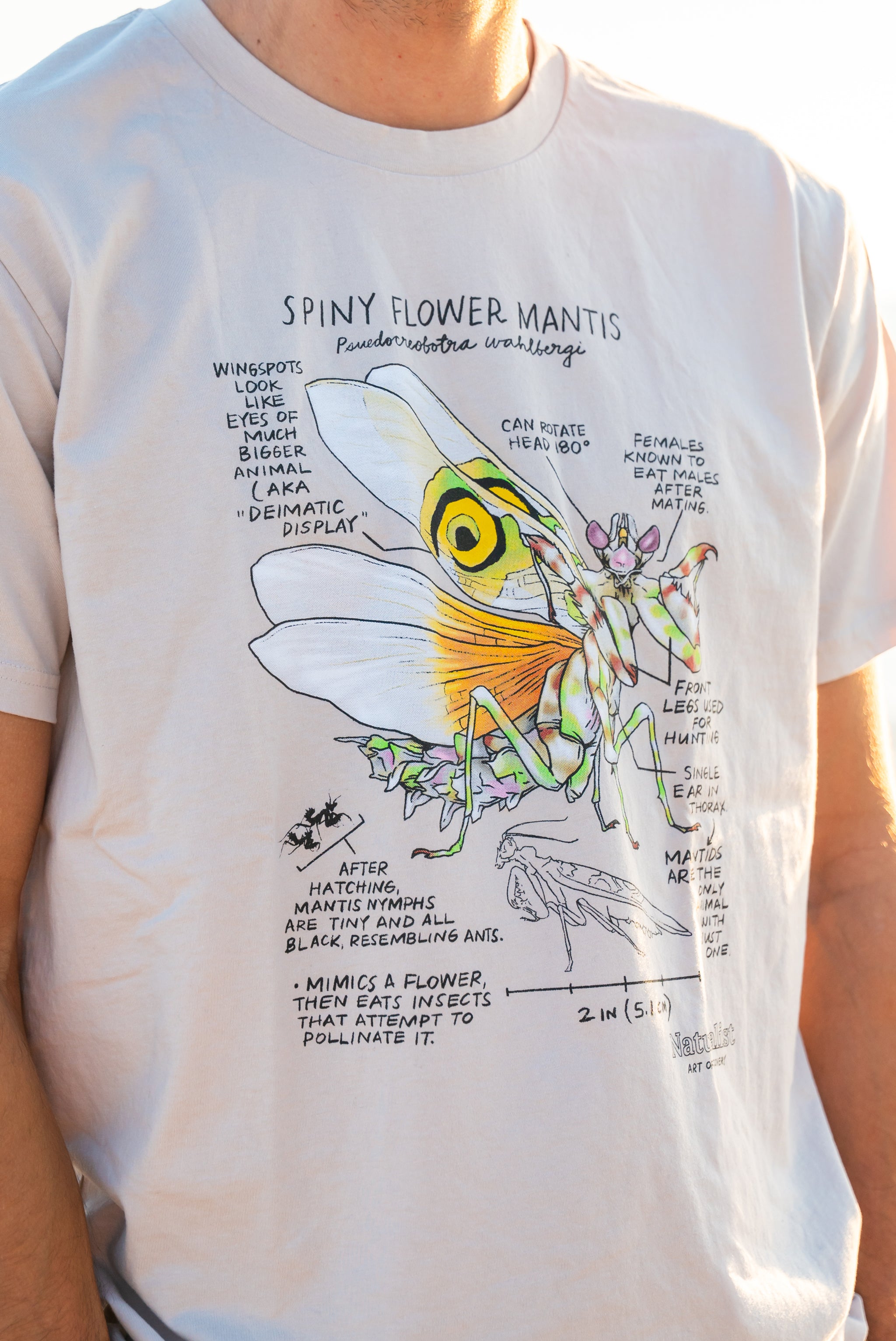 T-shirt with a colorful illustration of a spiny flower mantis and text on a white background