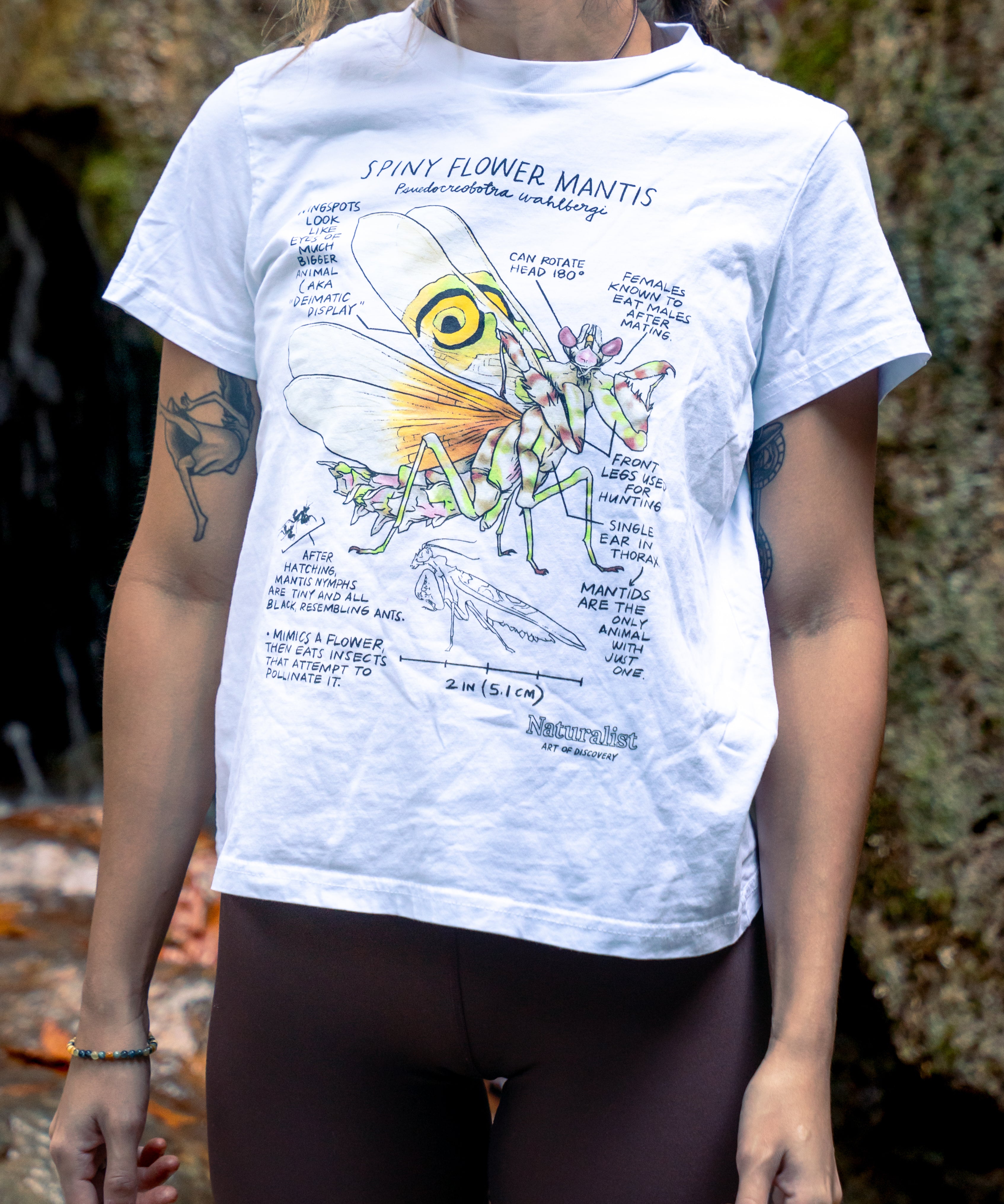 Person wearing a white t-shirt with a detailed illustration of a spiny mantis 